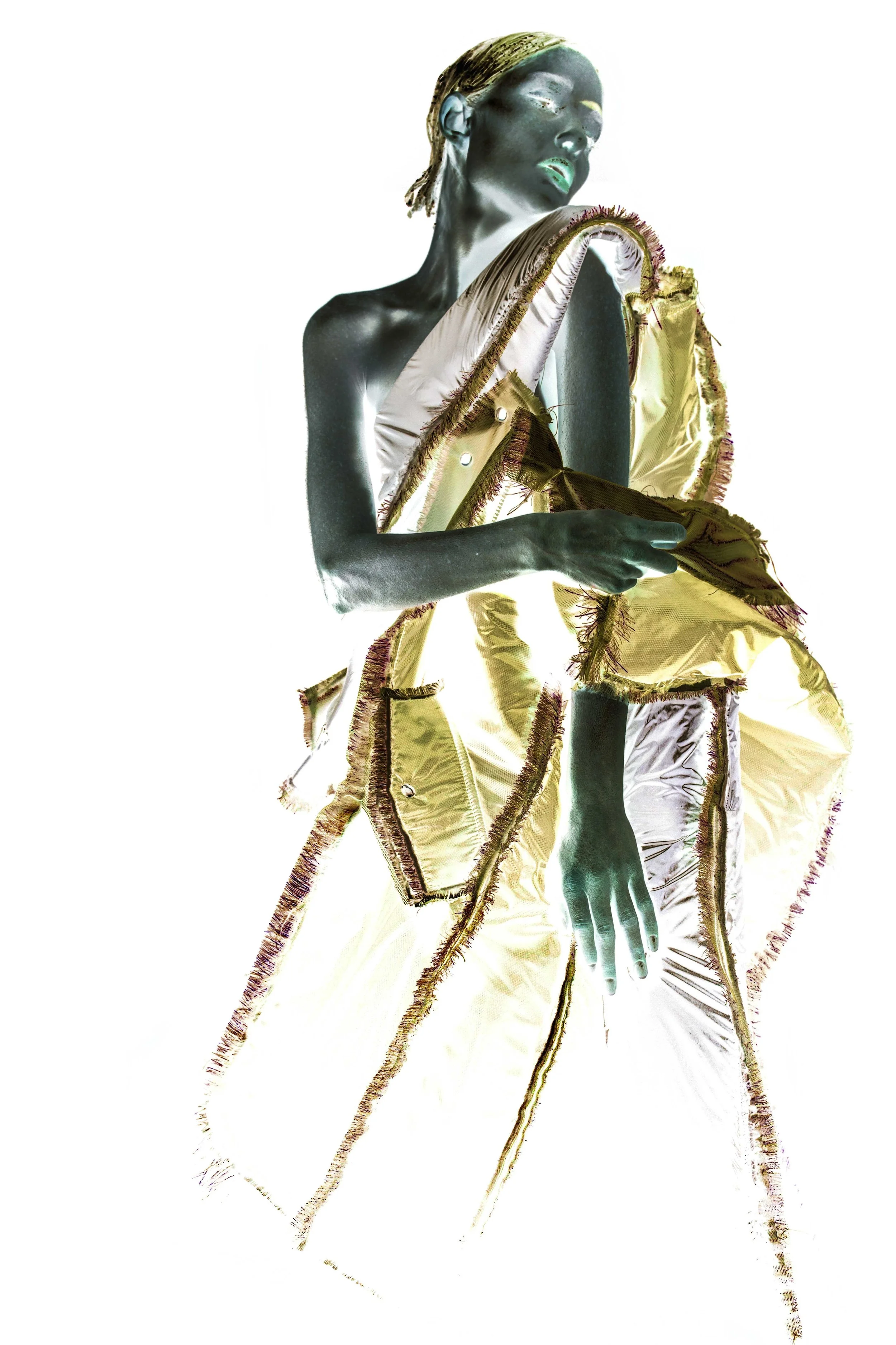 genomic bodies inverted web_6.jpg