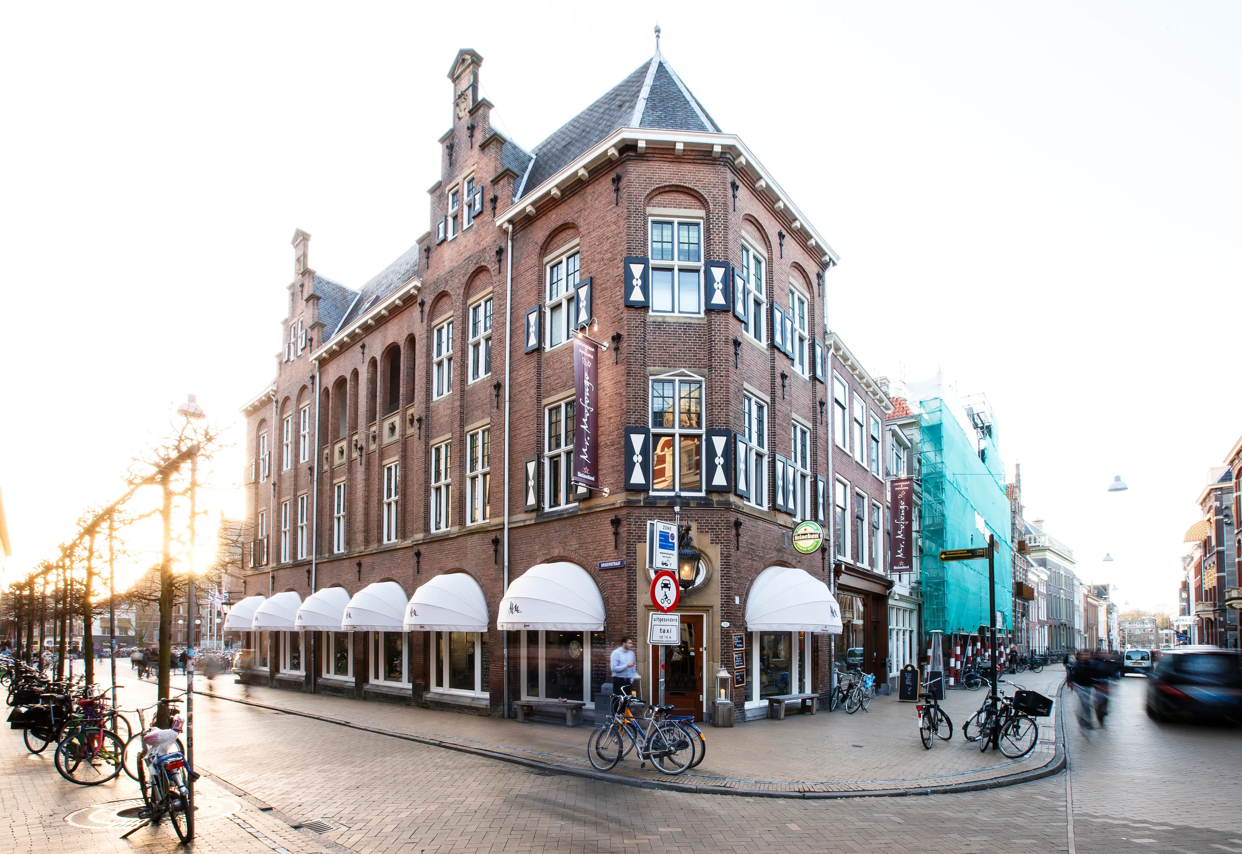 Hedonist Society - Mr. Mofongo