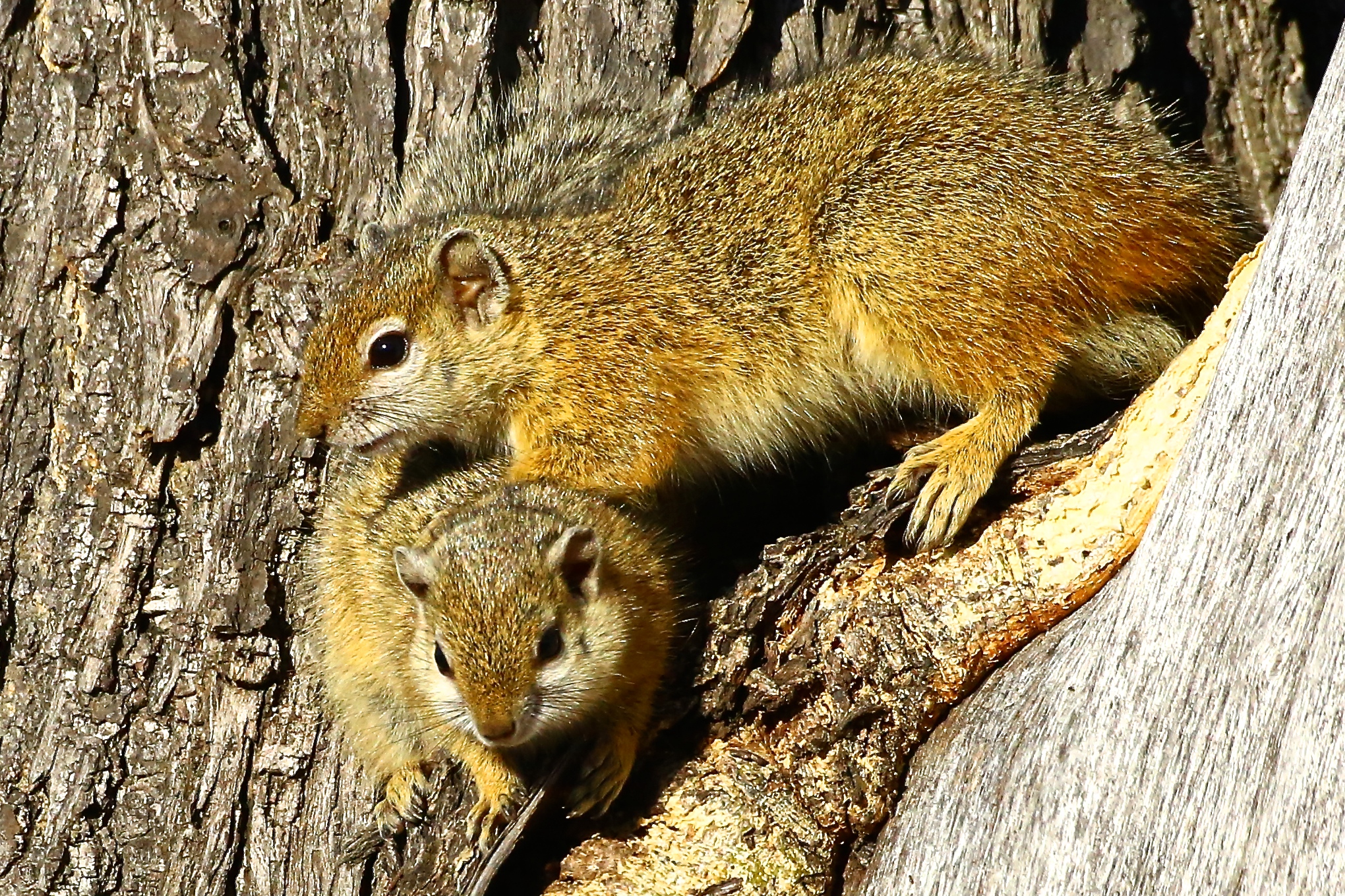 1B0A0483 - Version 2_6.JPG