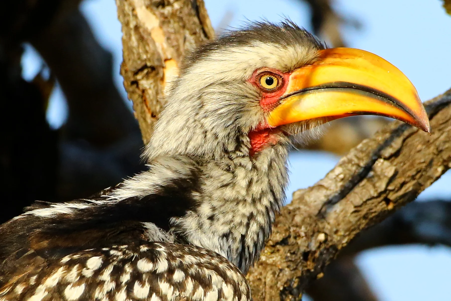 1B0A9094 - Version 2.JPG