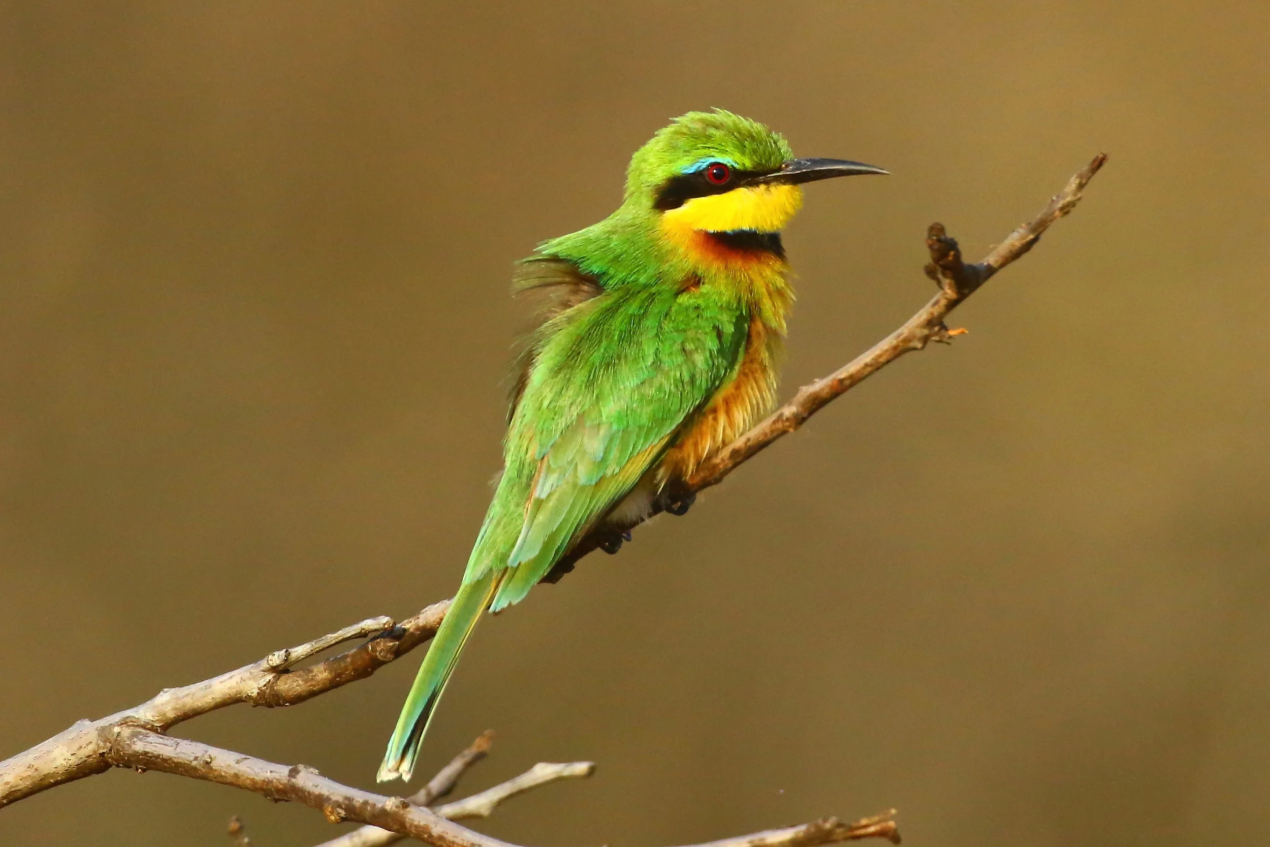 1B0A9706 - Version 2.JPG