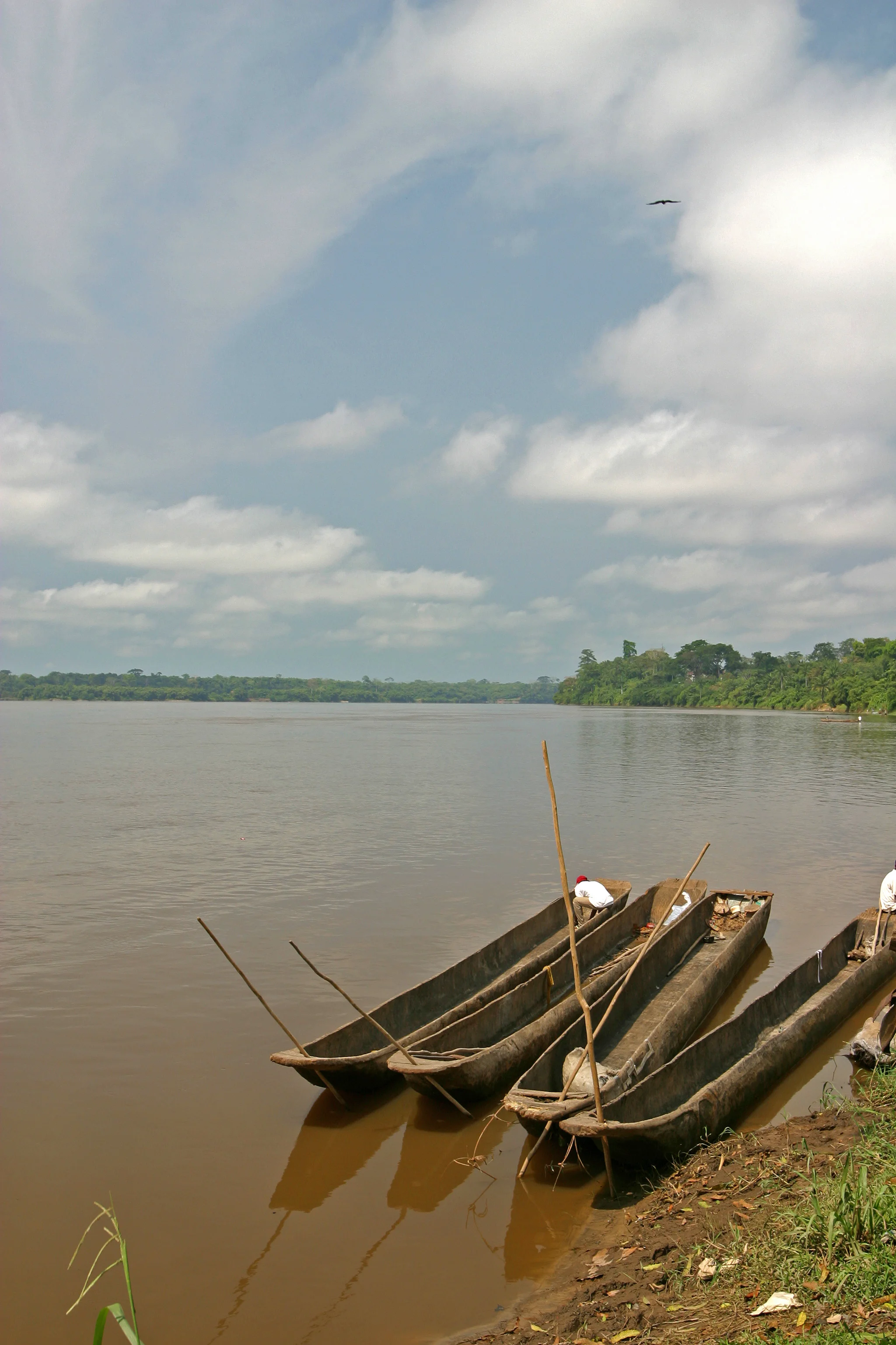 178-7883_IMG_2.JPG