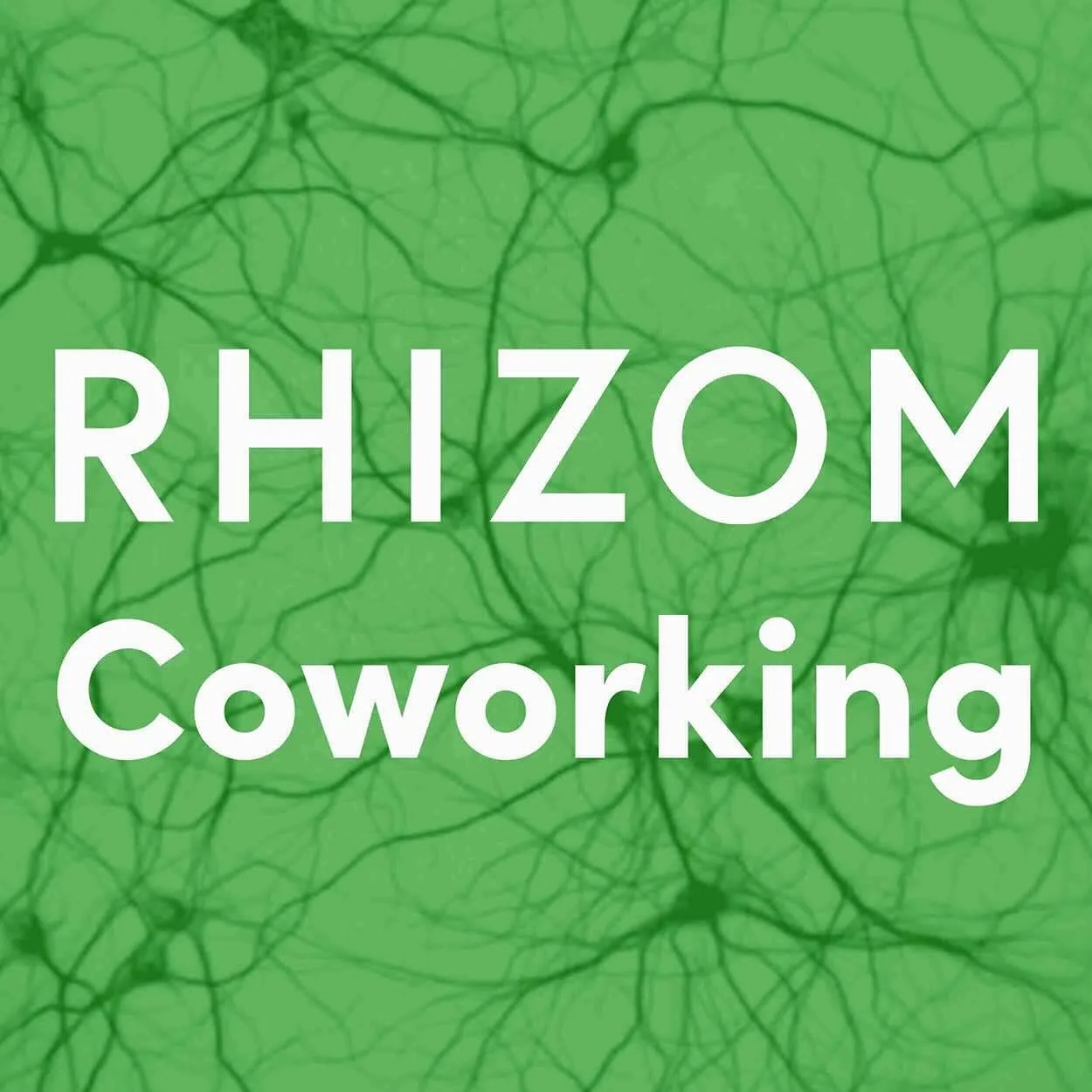 Grafik mit grüner Hintergrund mit Netzwerk aus Linien und Knoten, darauf der weiße Text 'RHIZOM Coworking'.