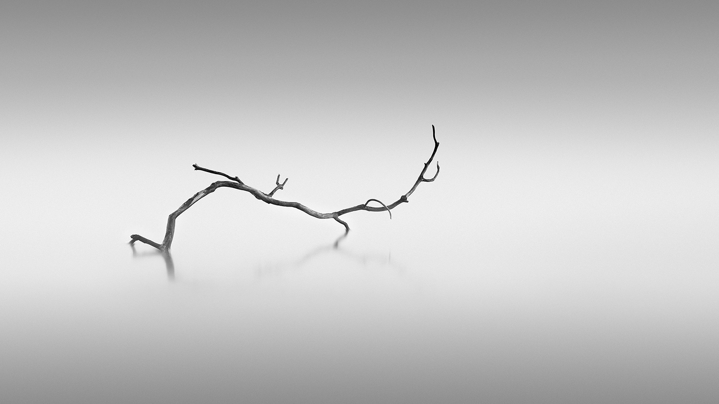 TWISTED - First place WPOTY