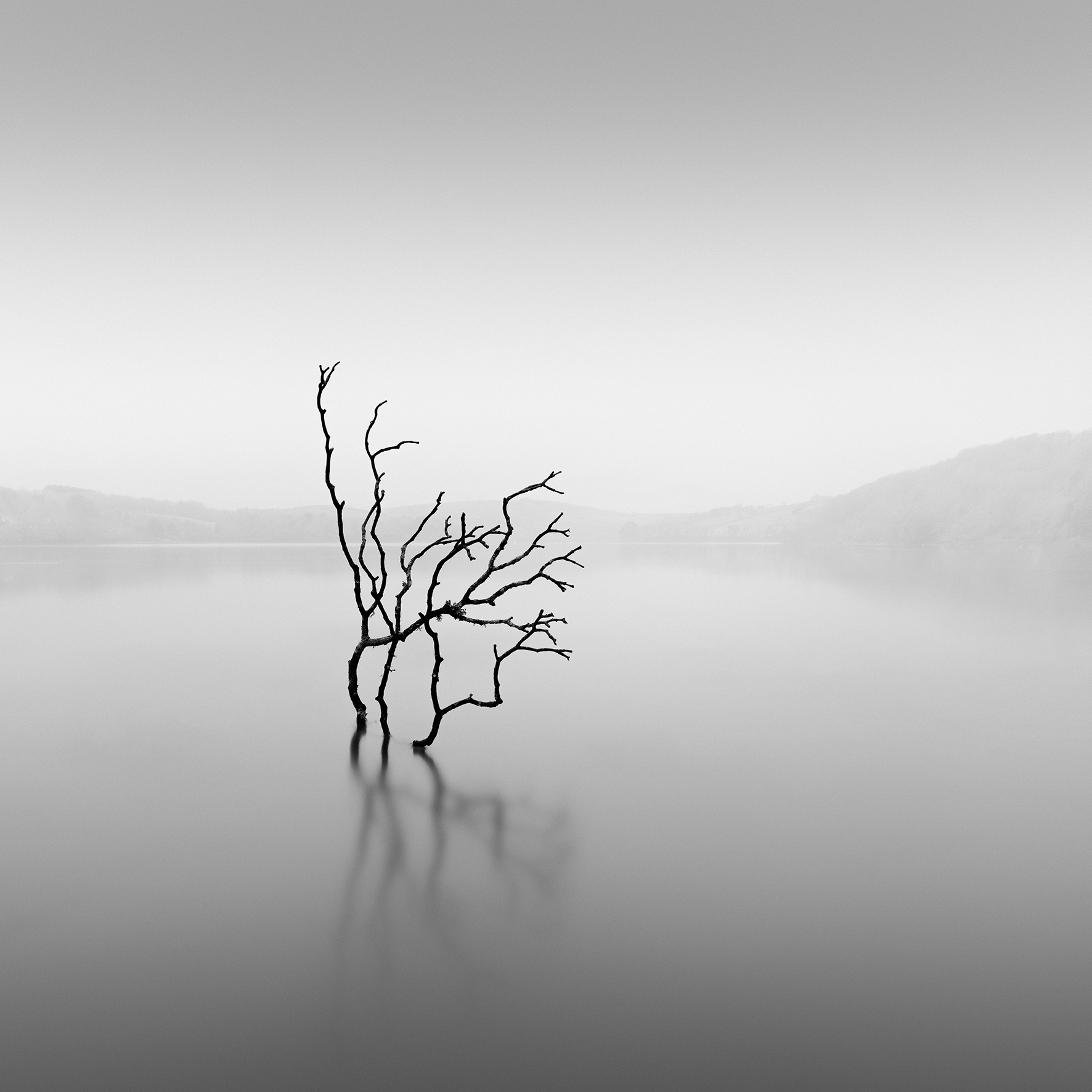 _DSC2843-Edit LR.jpg