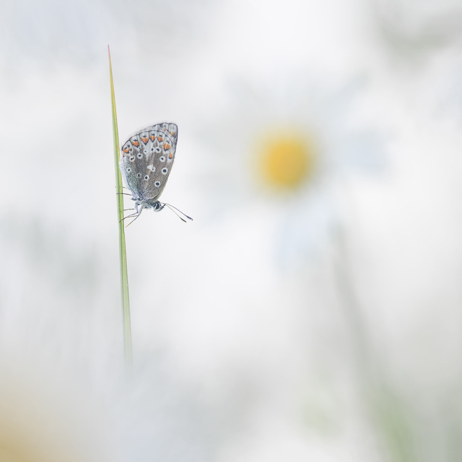 DSC_3321-Edit LR.jpg