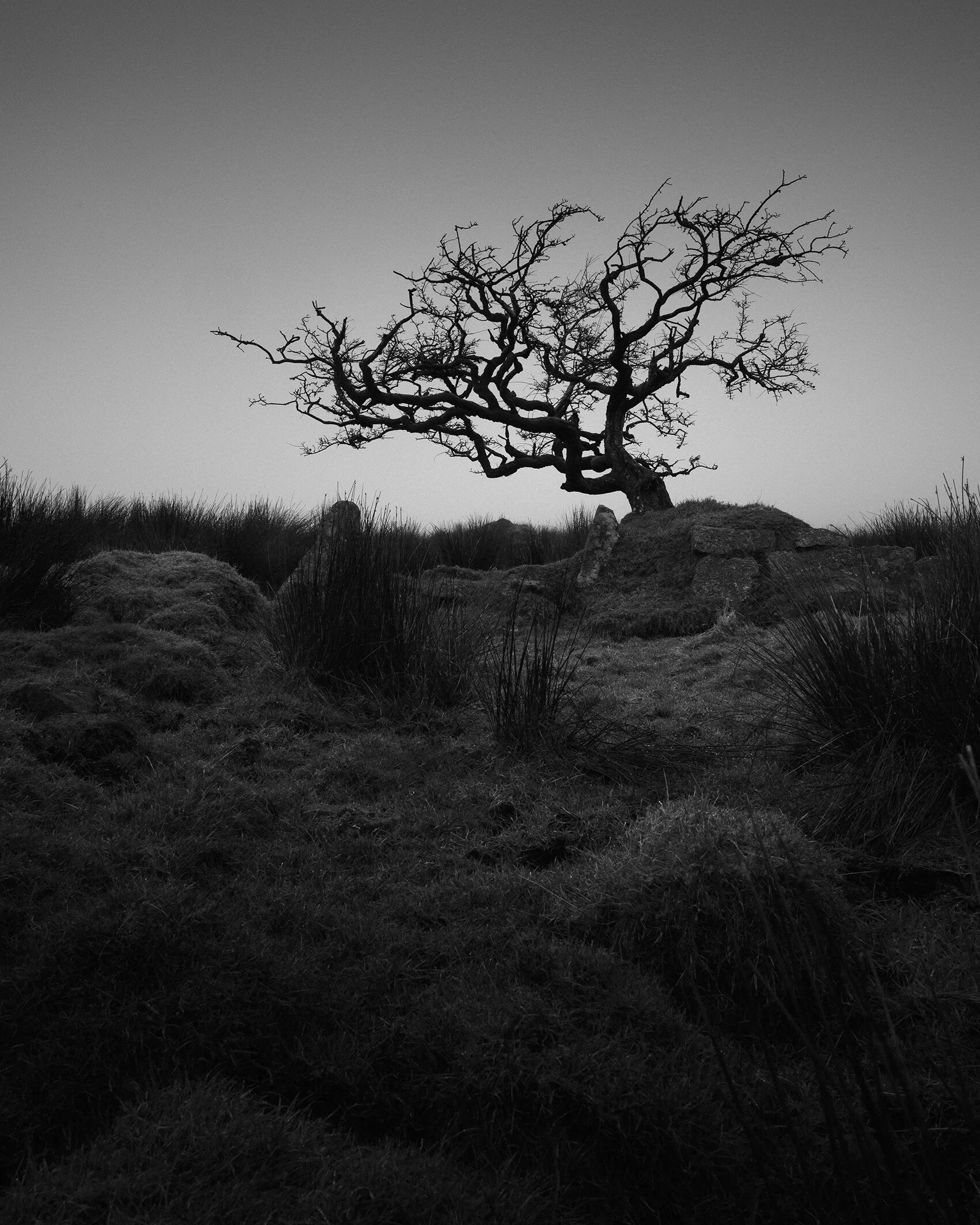 GALLERY Neil Burnell