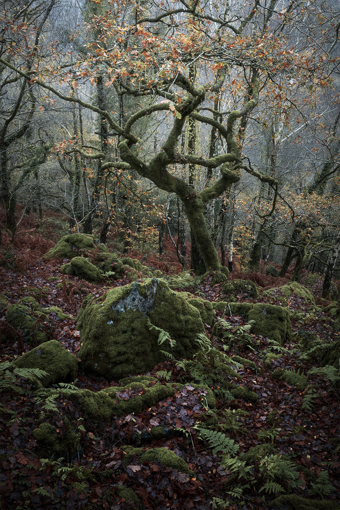 DSC_2731-Edit.jpg