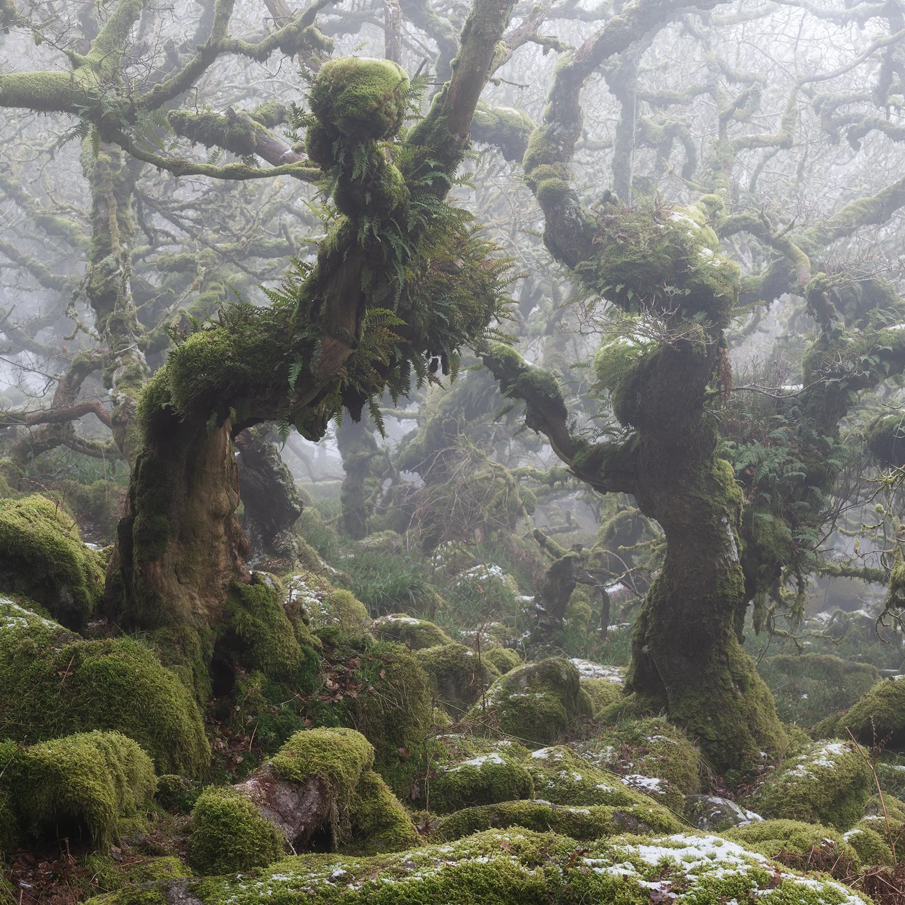 _DSC1884-Pano-Edit.jpg