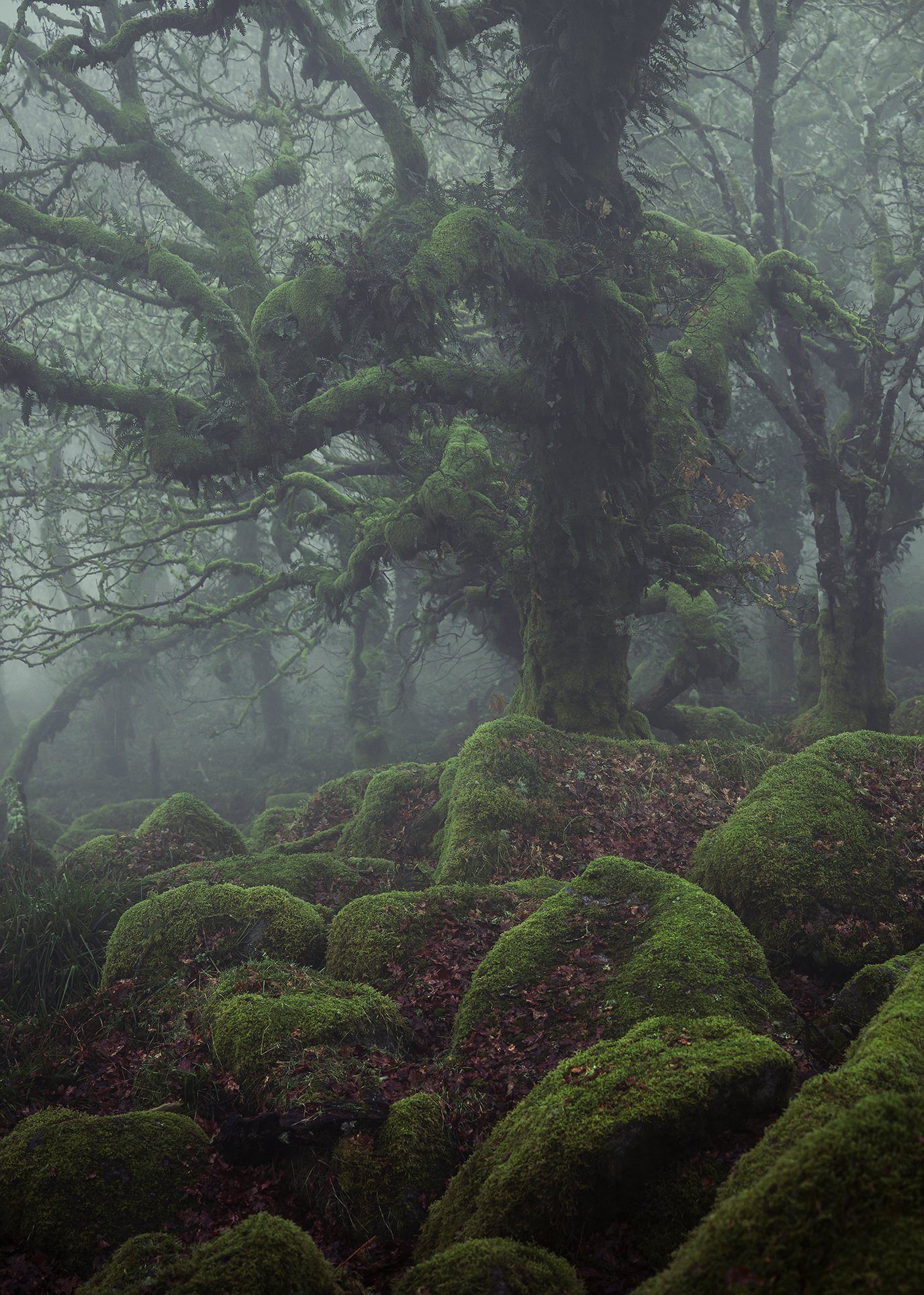 DSC_6941-Edit.jpg