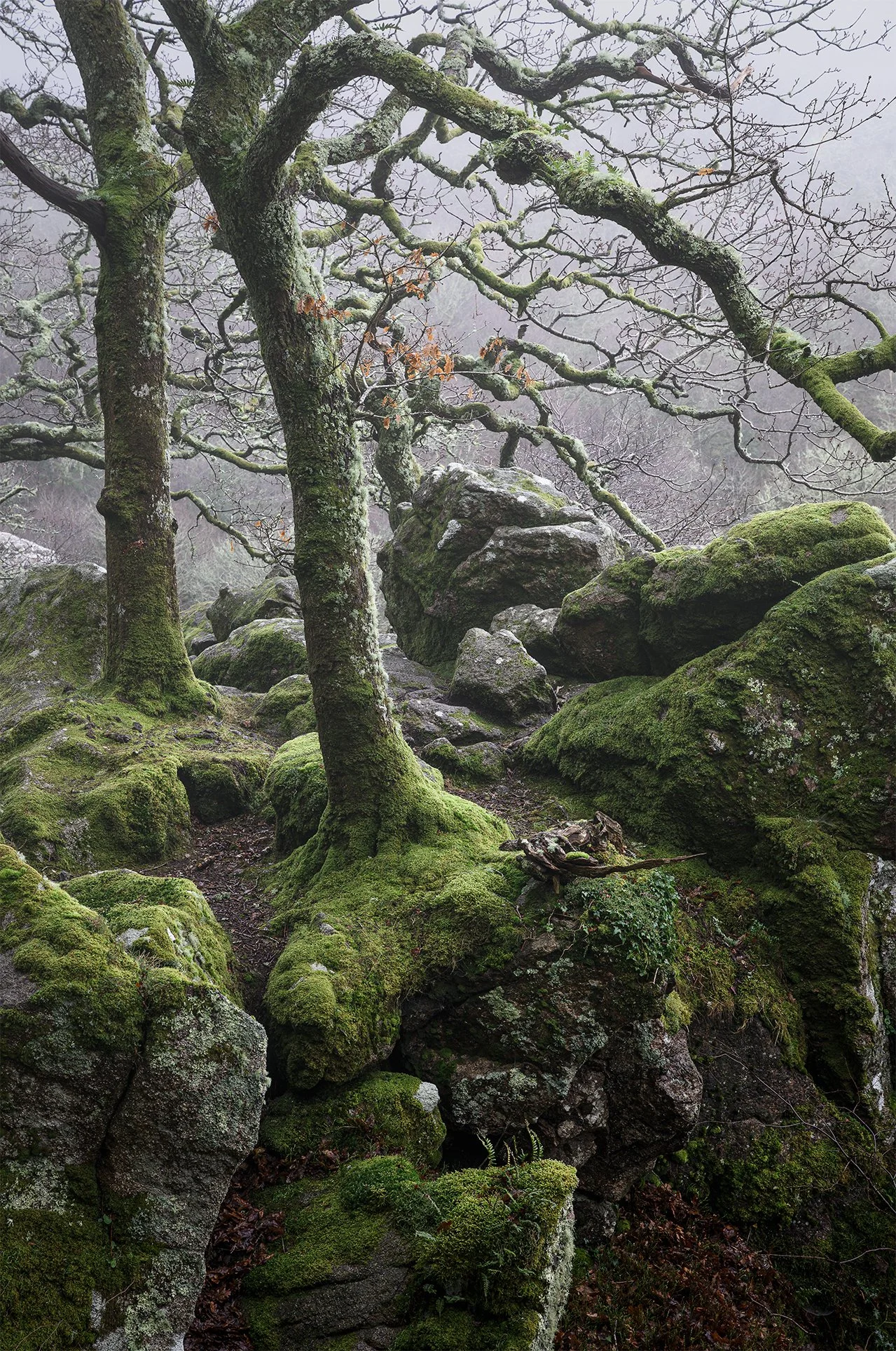 DSC_6214-Edit.jpg