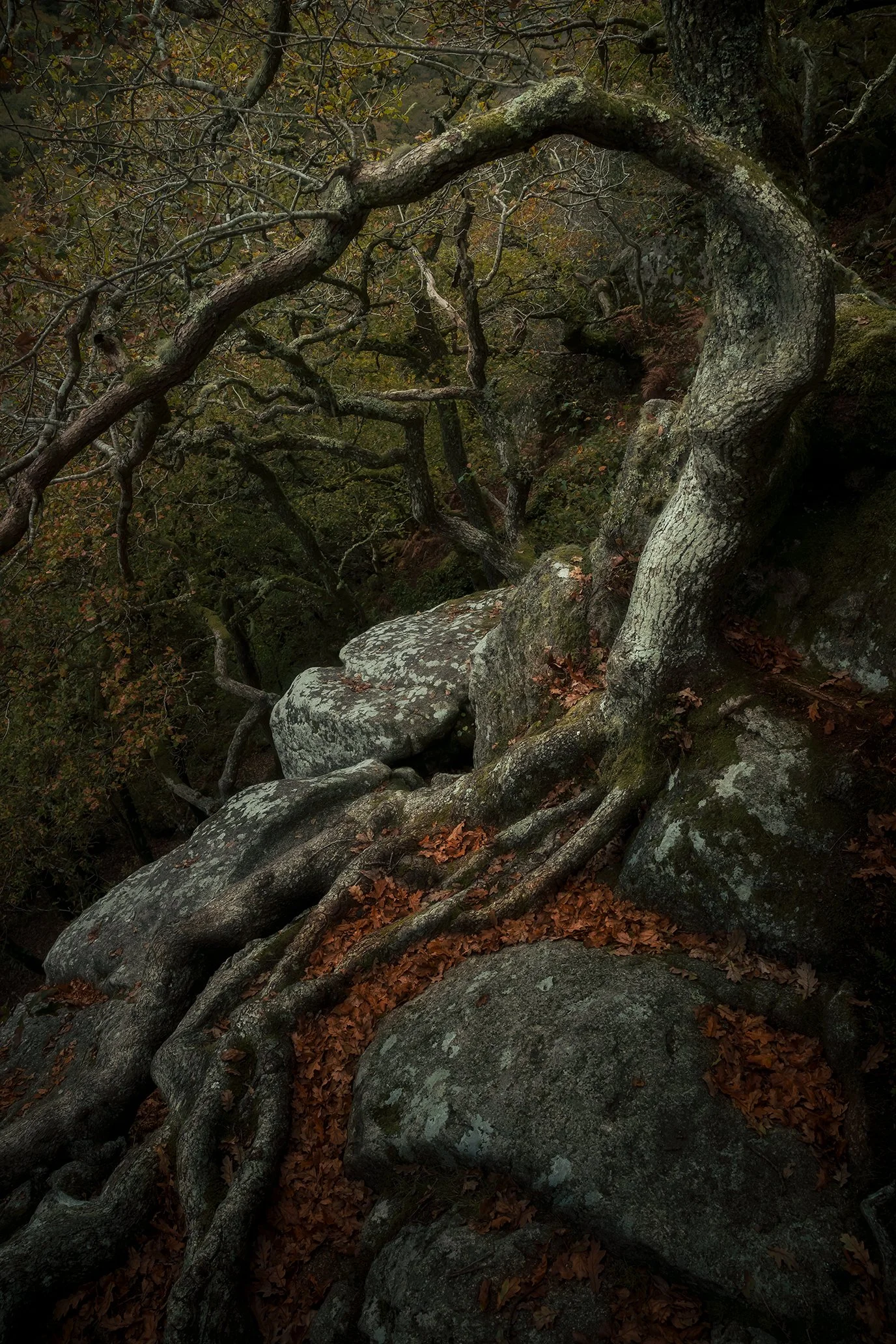 DSC_1838-Edit.jpg
