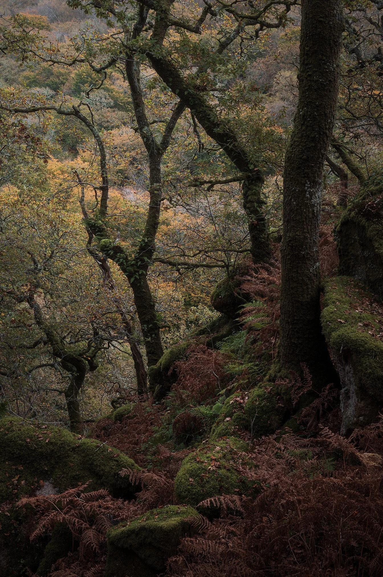 DSC_1812-Edit.jpg