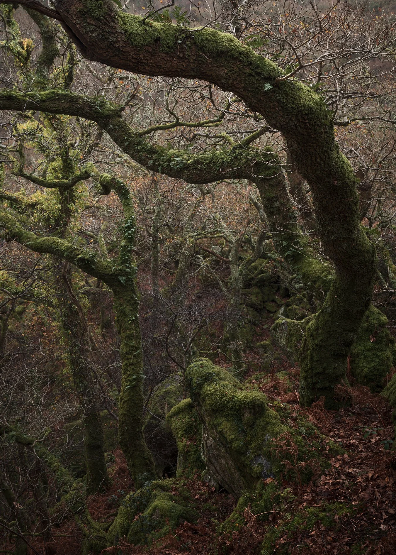 DSC_3056-Edit.jpg