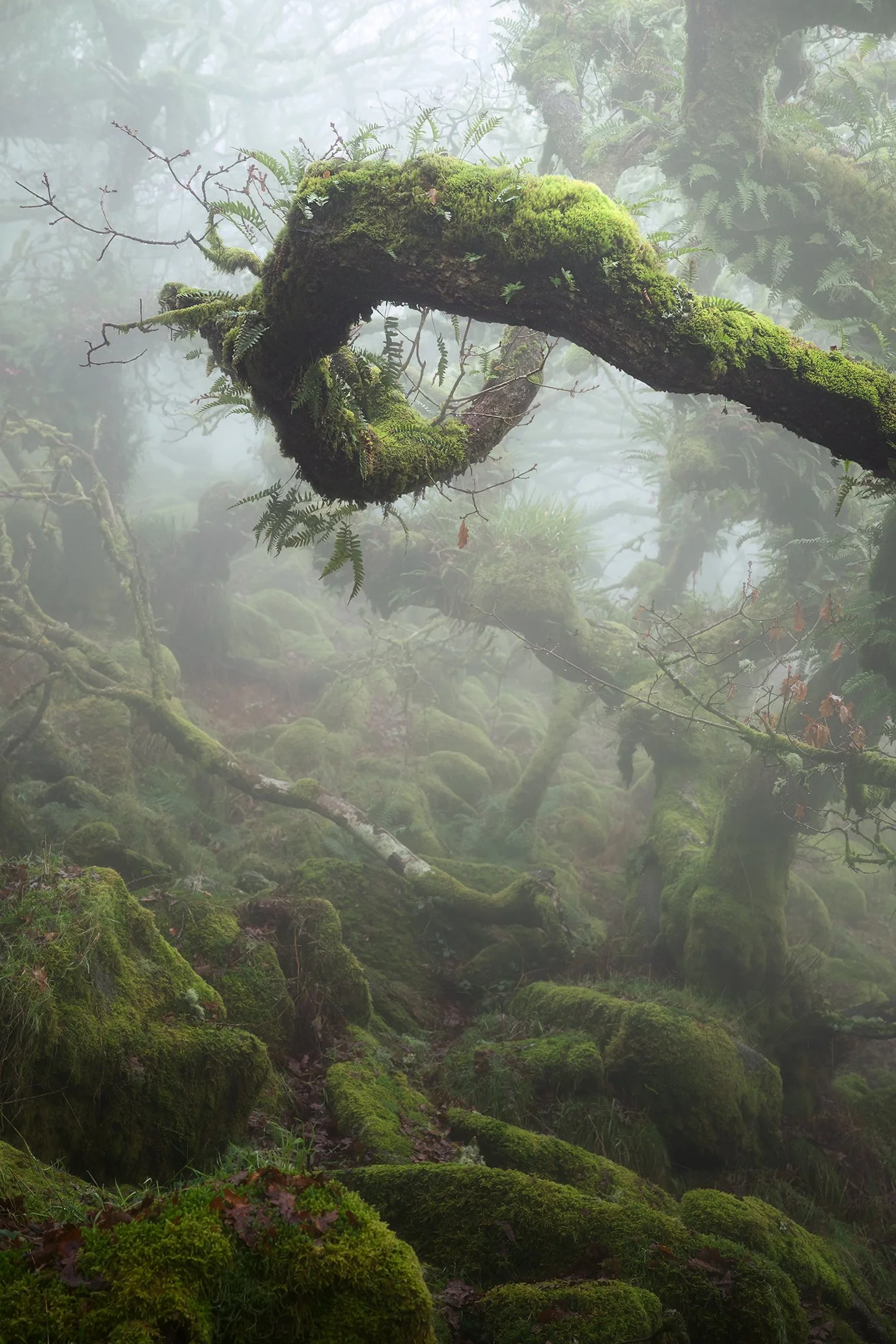 DSC_5691-Edit LR.jpg