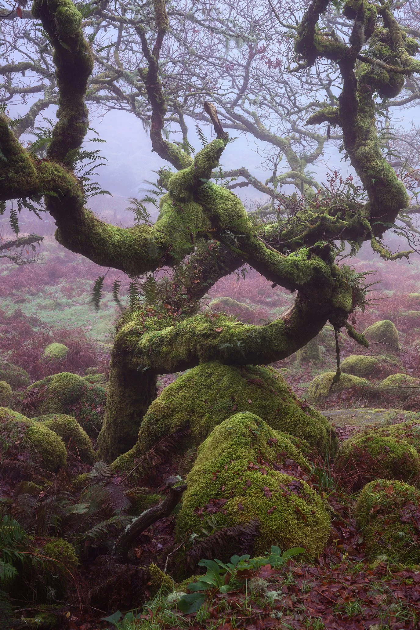 DSC_5642-Edit LR.jpg