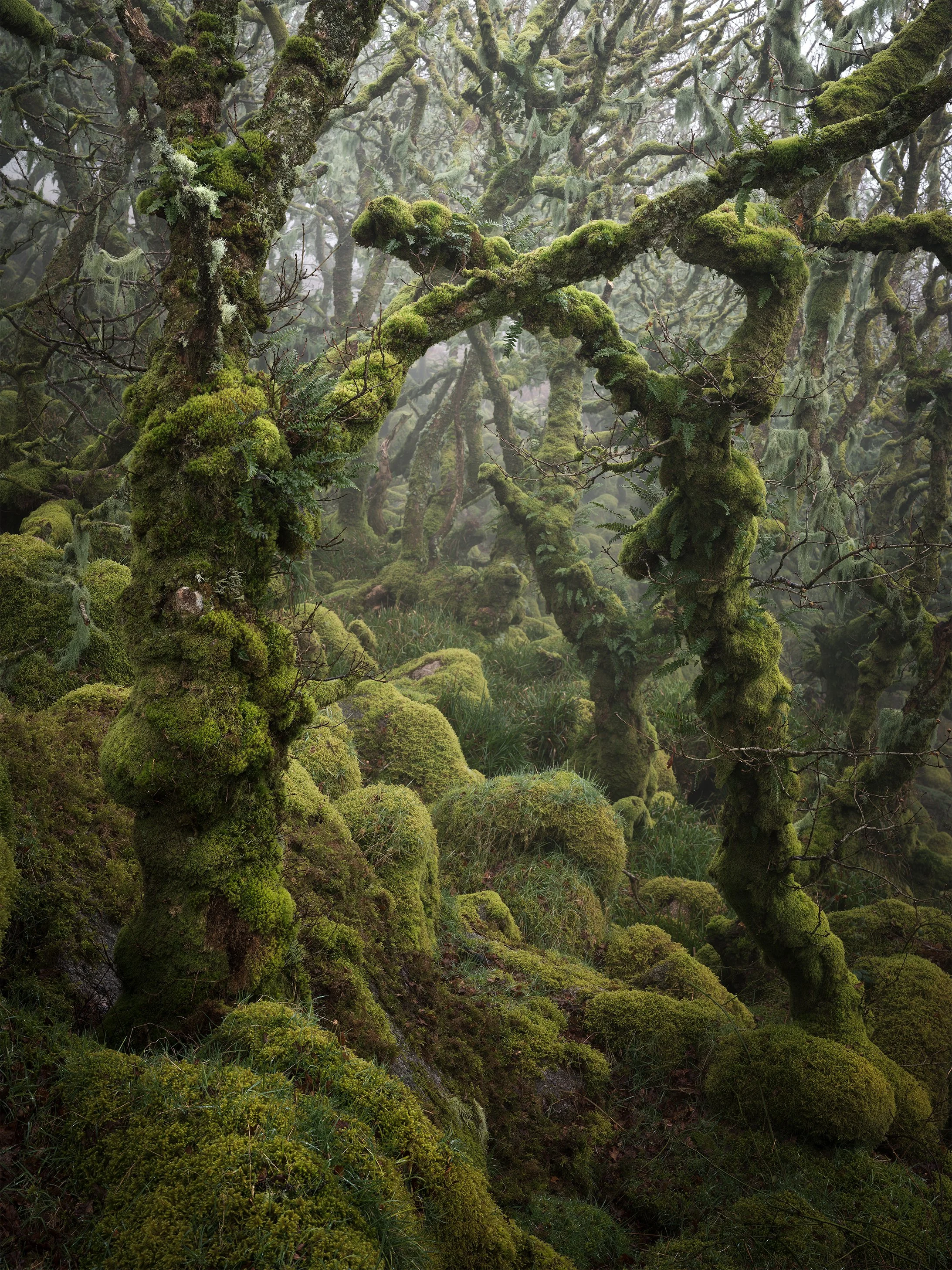 2026-03-08 21-59-12 (C,S4).jpg