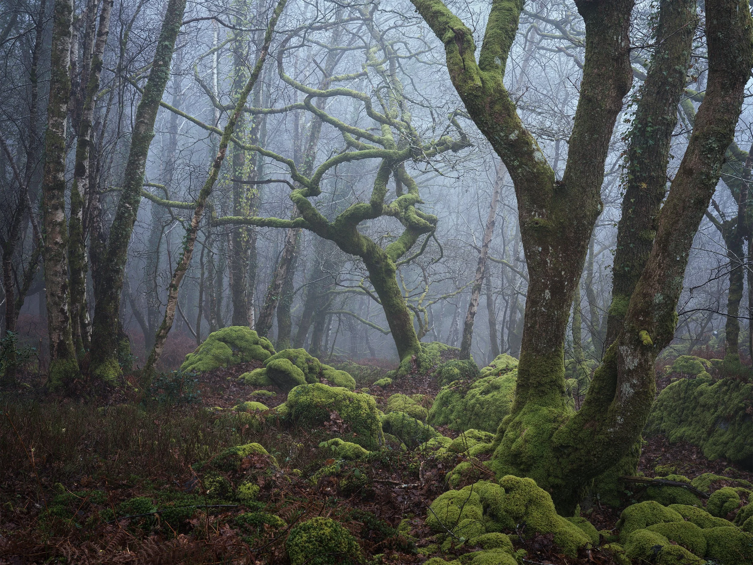 2026-03-08 23-46-45 (C,S1).jpg