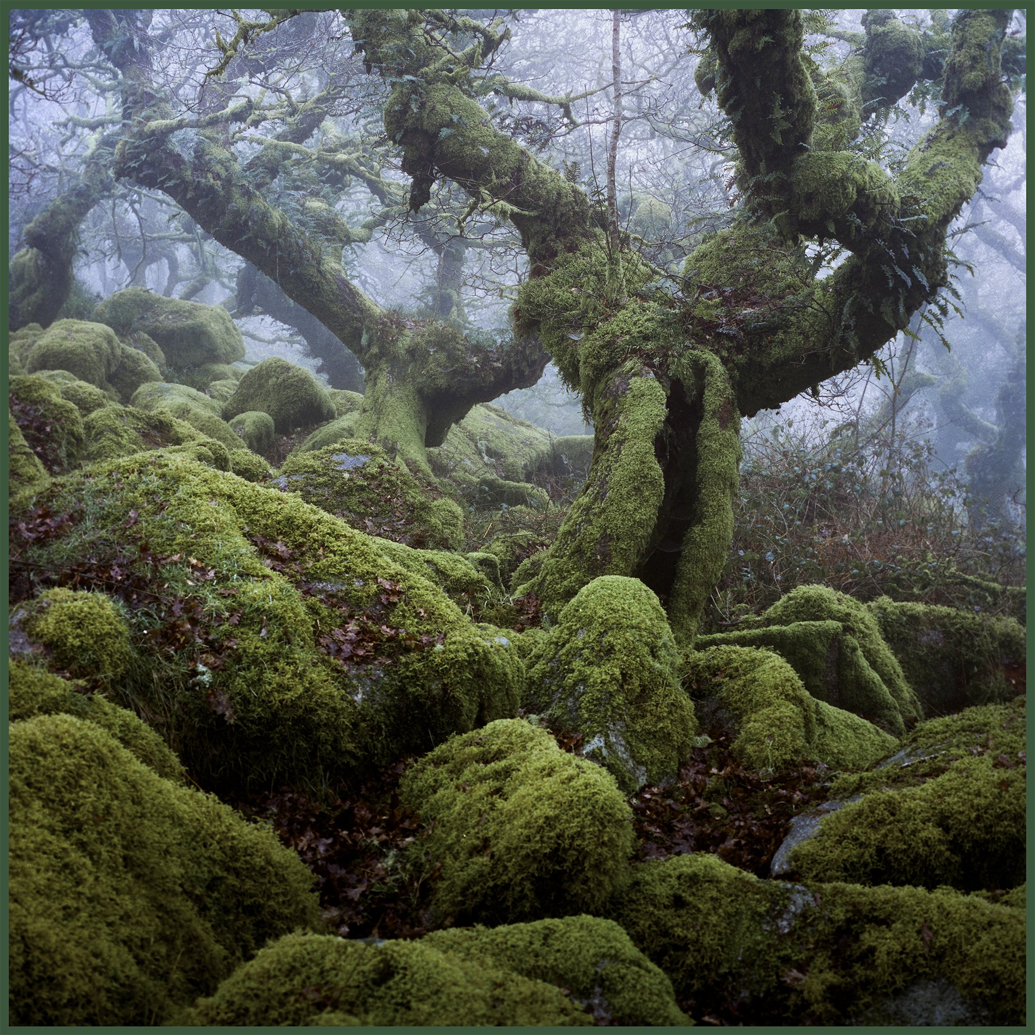 B0001527-Edit.jpg