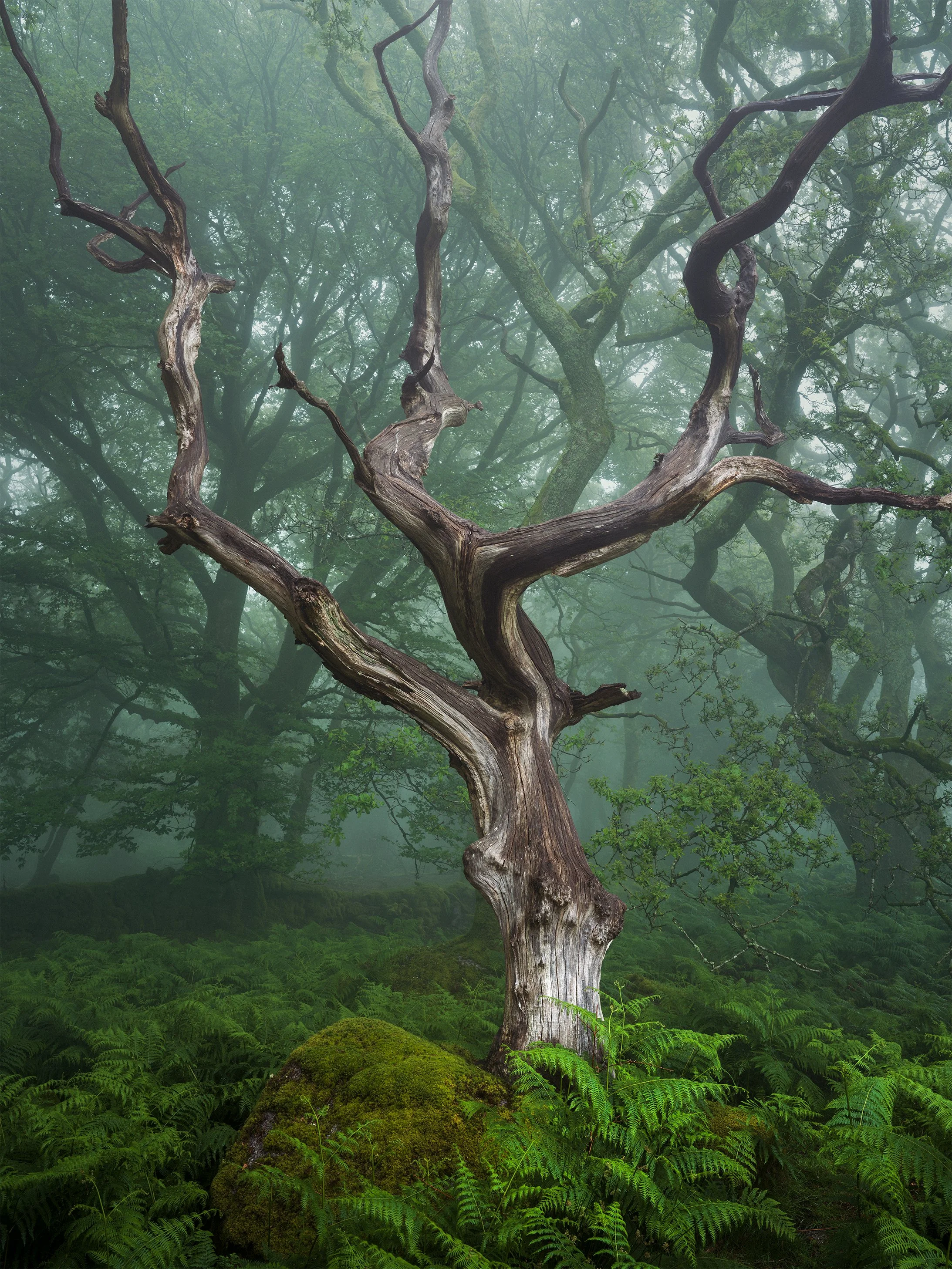B0001986-Edit.jpg
