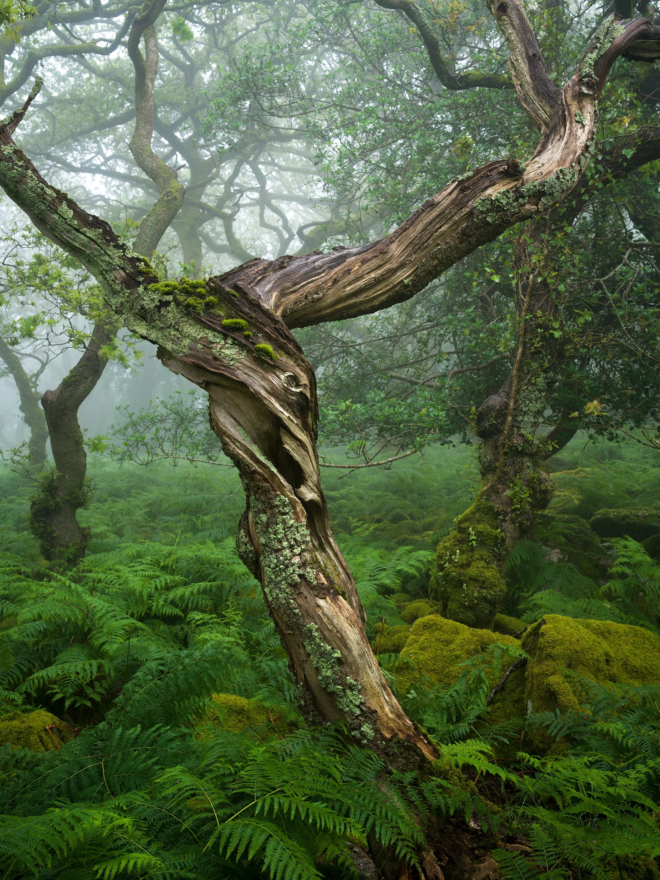 B0001971-Edit.jpg