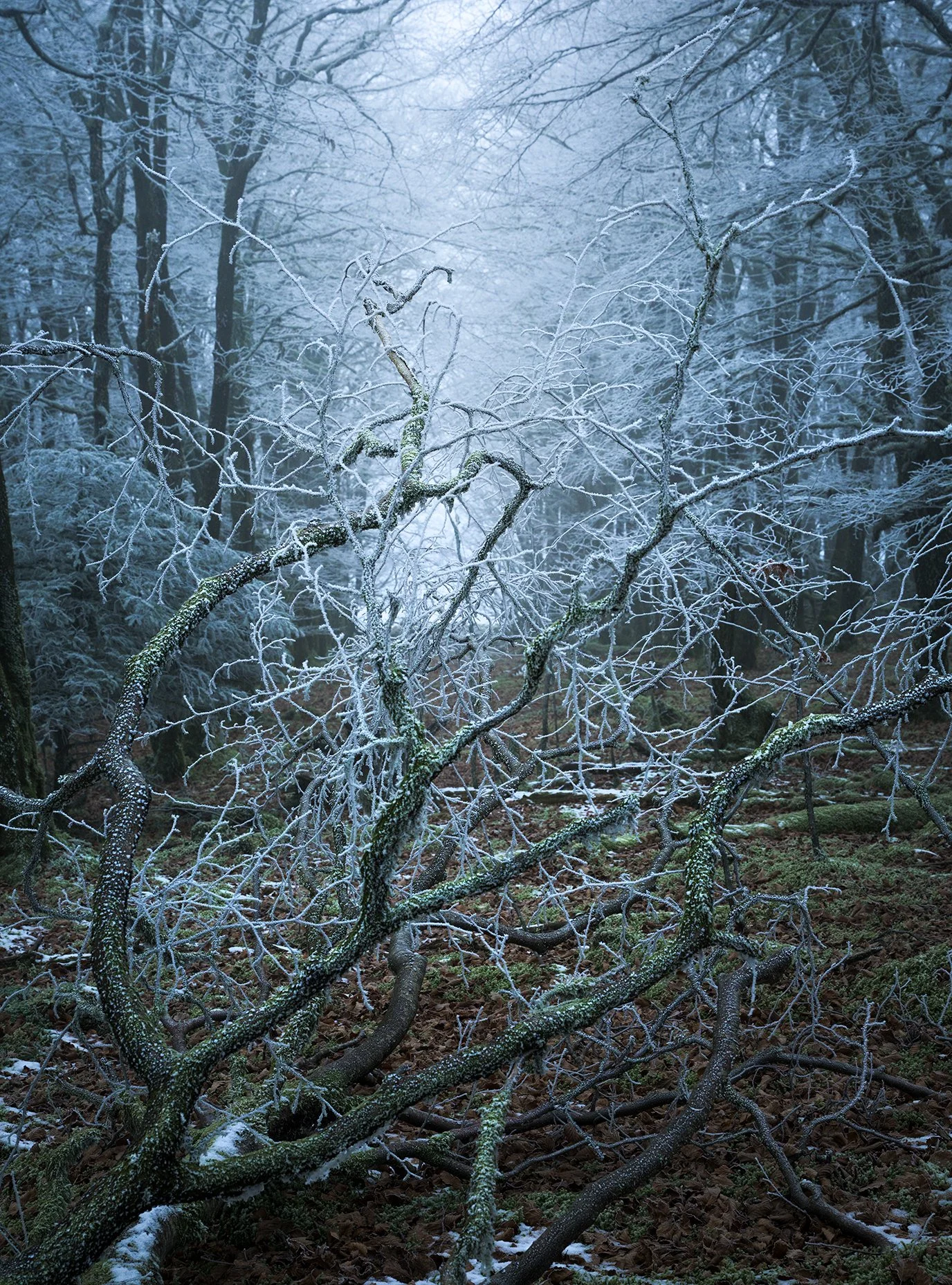 _DSC9601-Edit.jpg