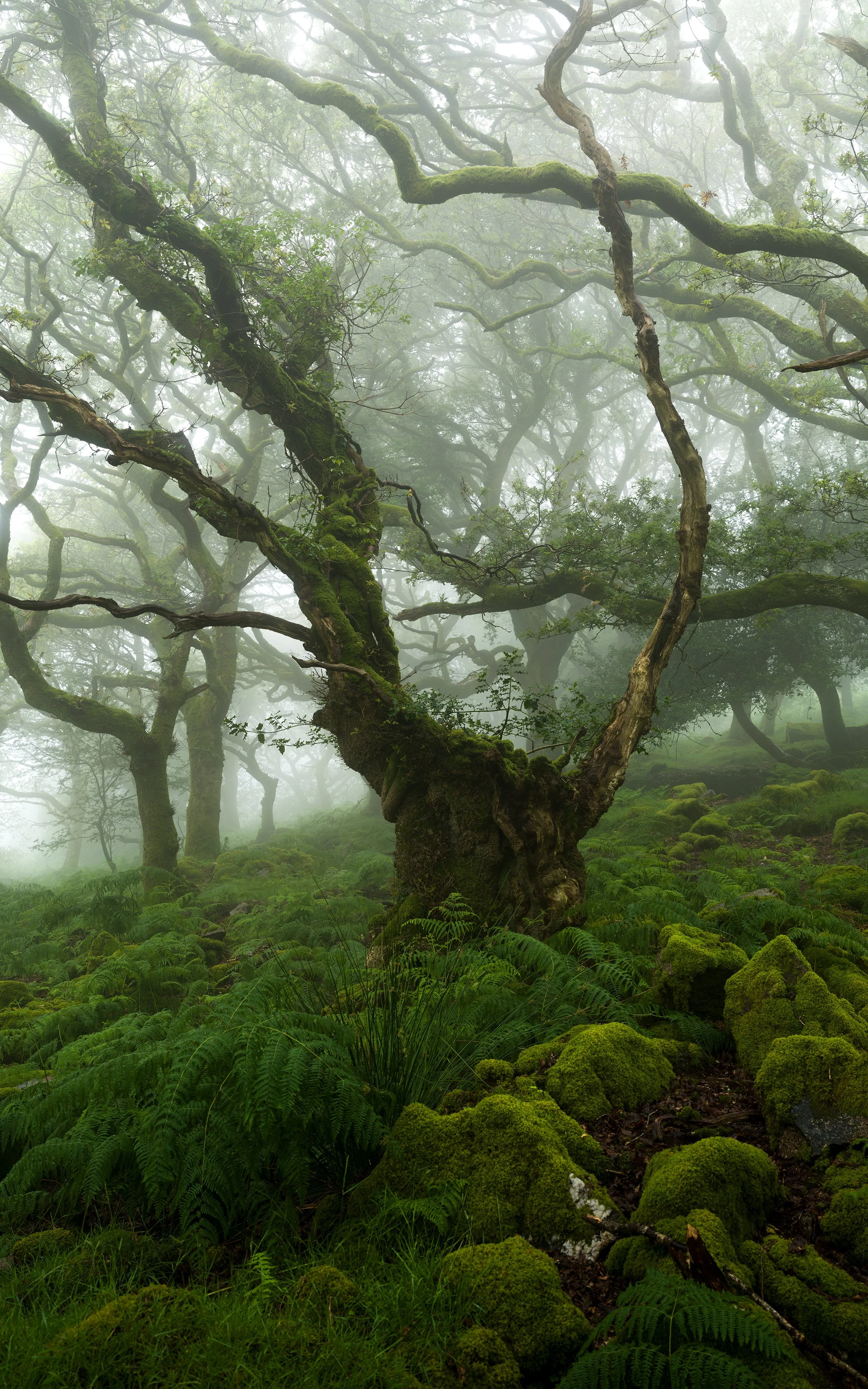 B0001879-Pano-Edit.jpg