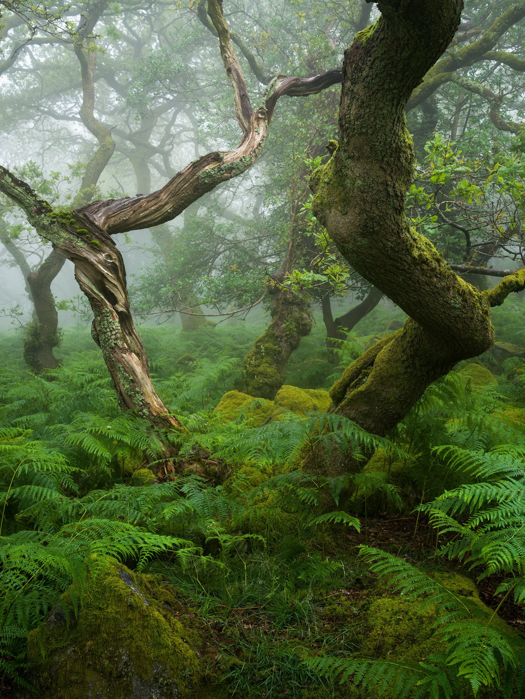 B0001953-Edit.jpg
