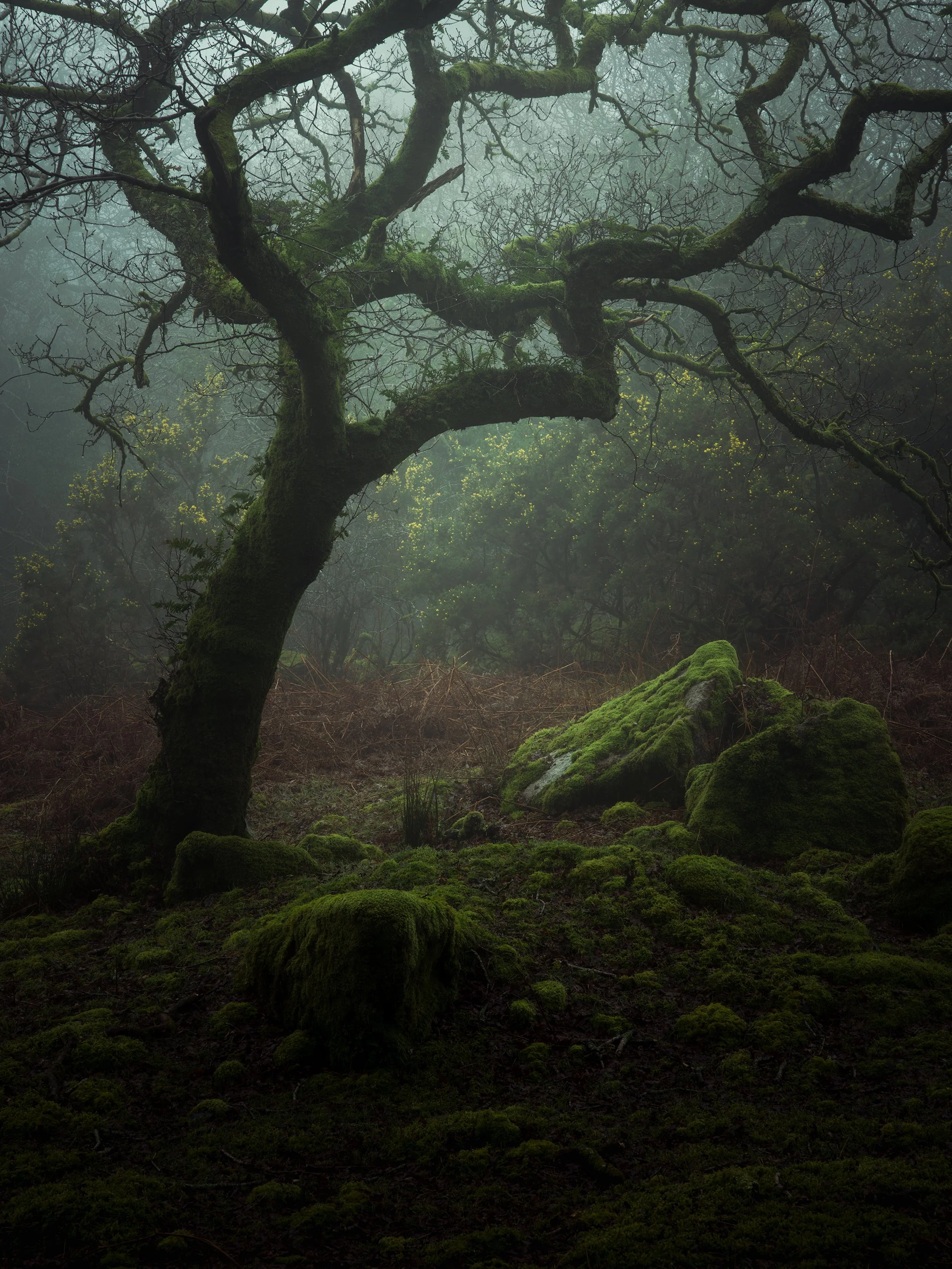 B0000556-Edit.jpg
