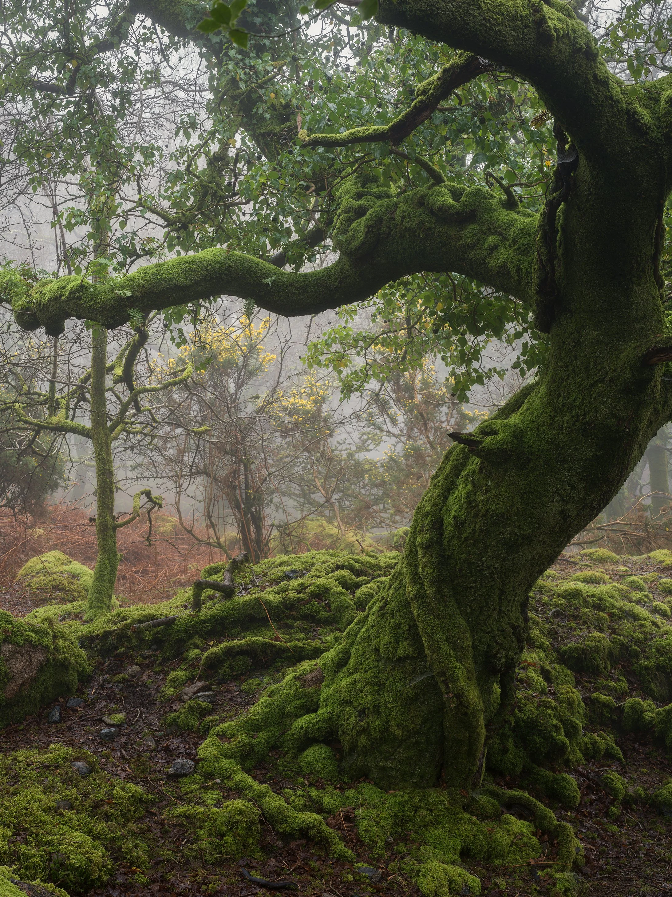 B0000528-Edit.jpg