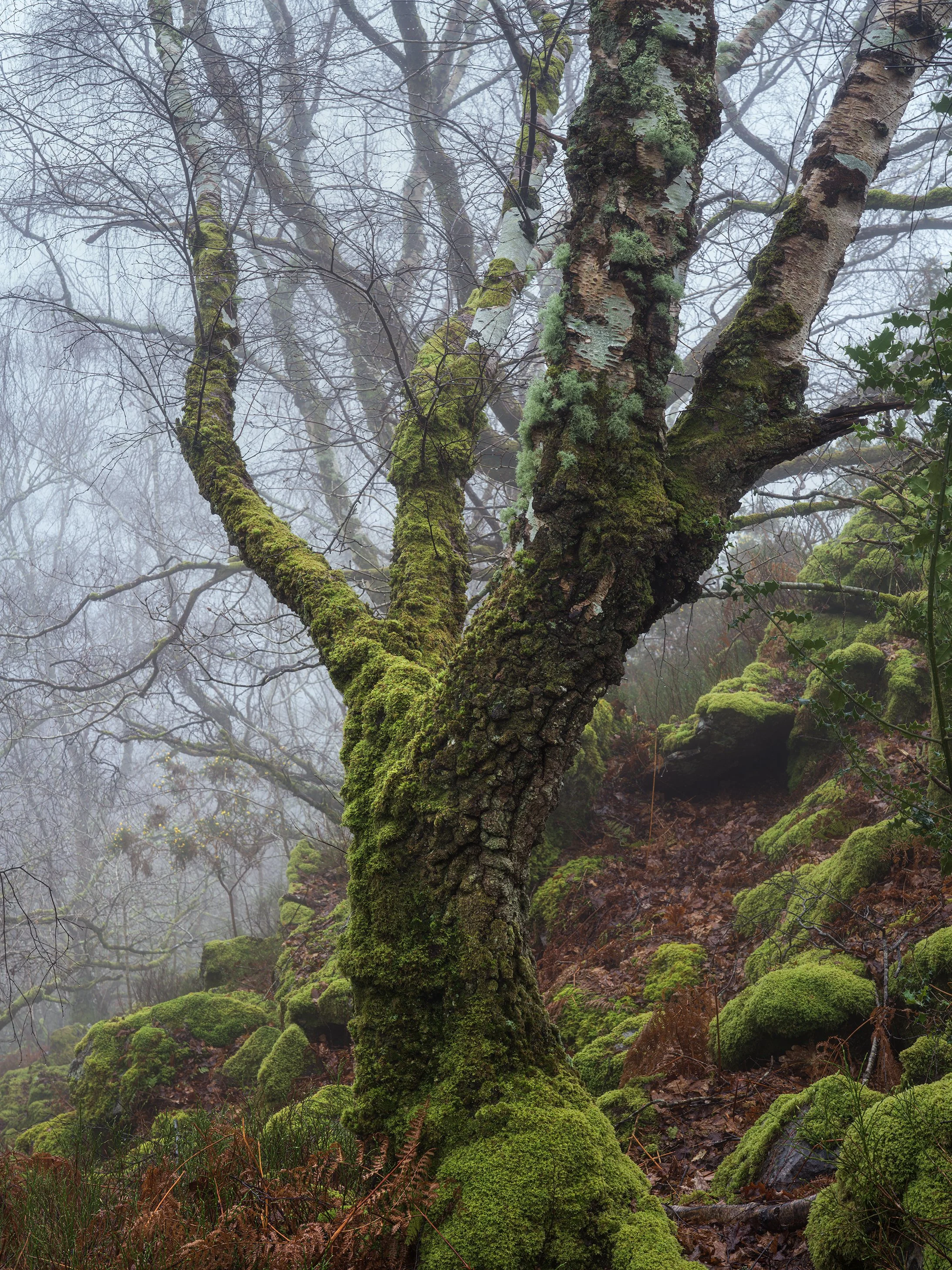 B0001210-Edit.jpg