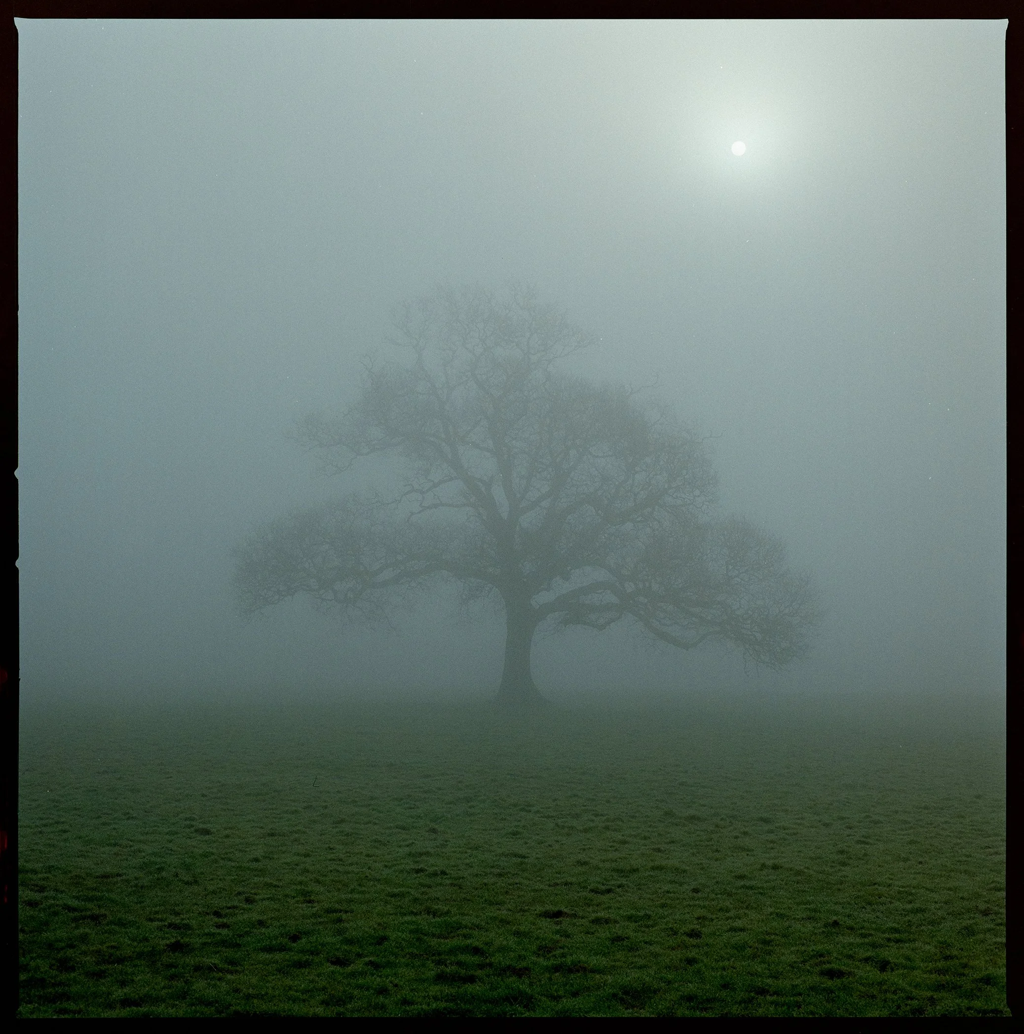 B0001509-Edit.jpg