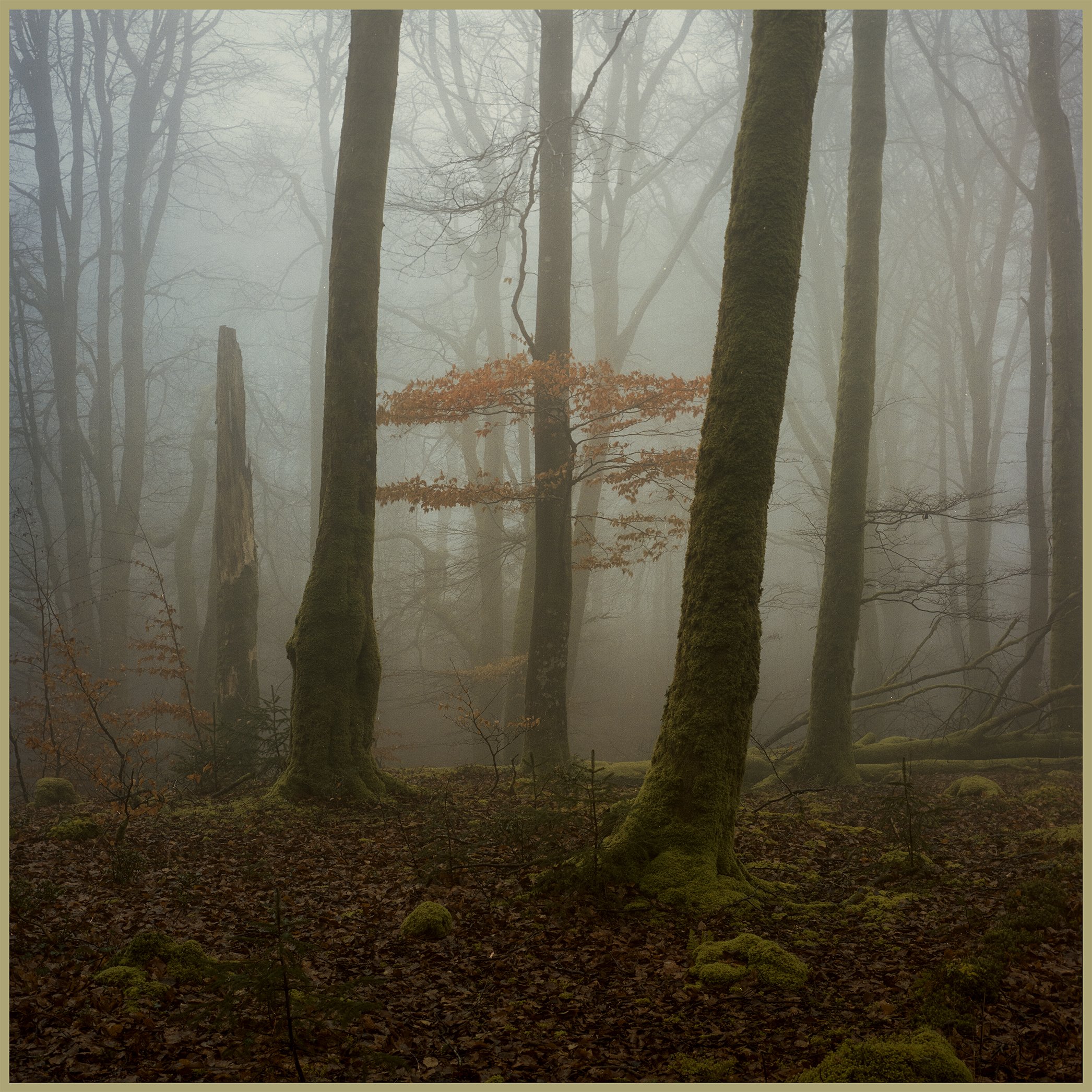 B0001538-Edit.jpg