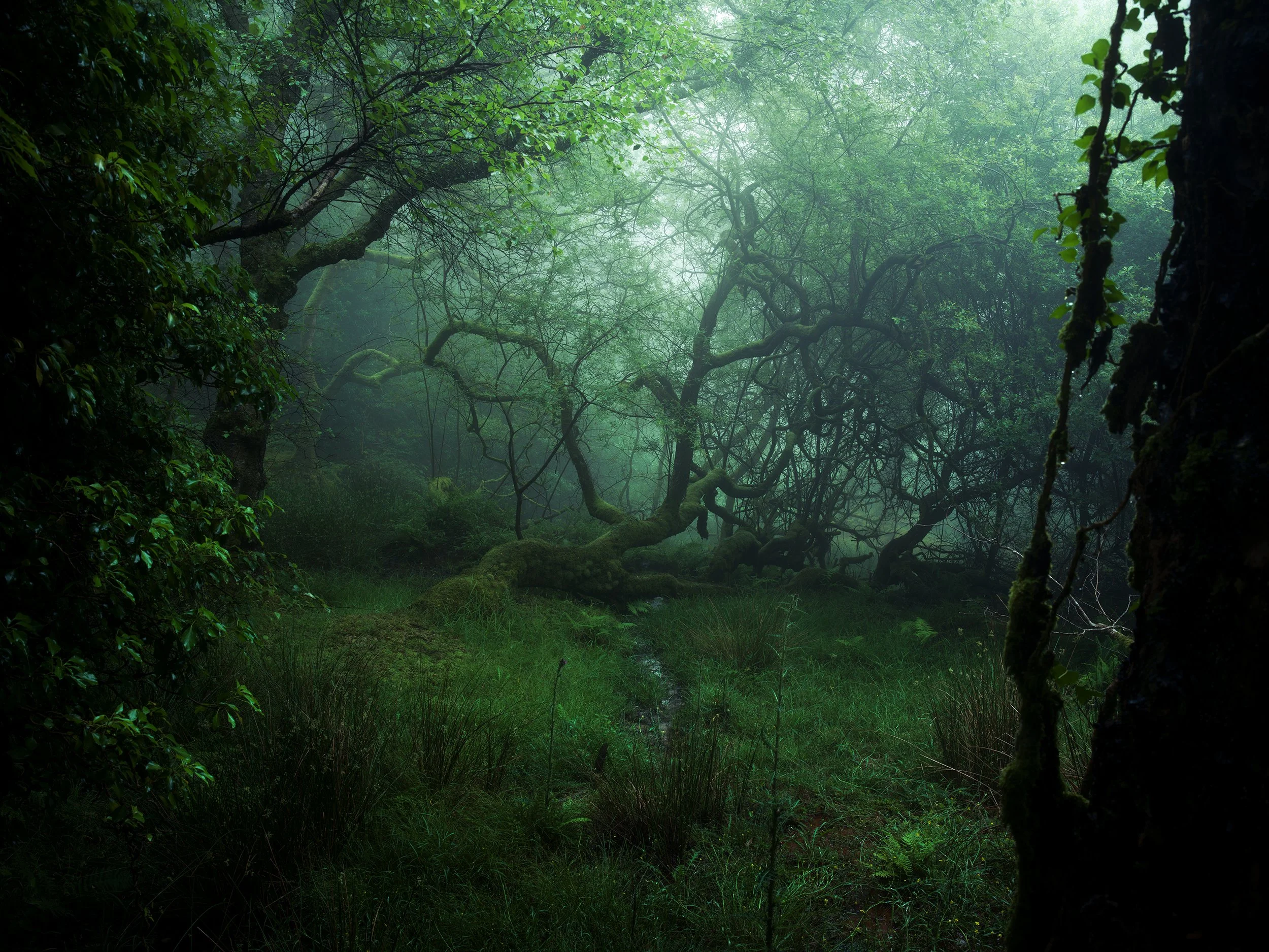 B0002038-Edit.jpg