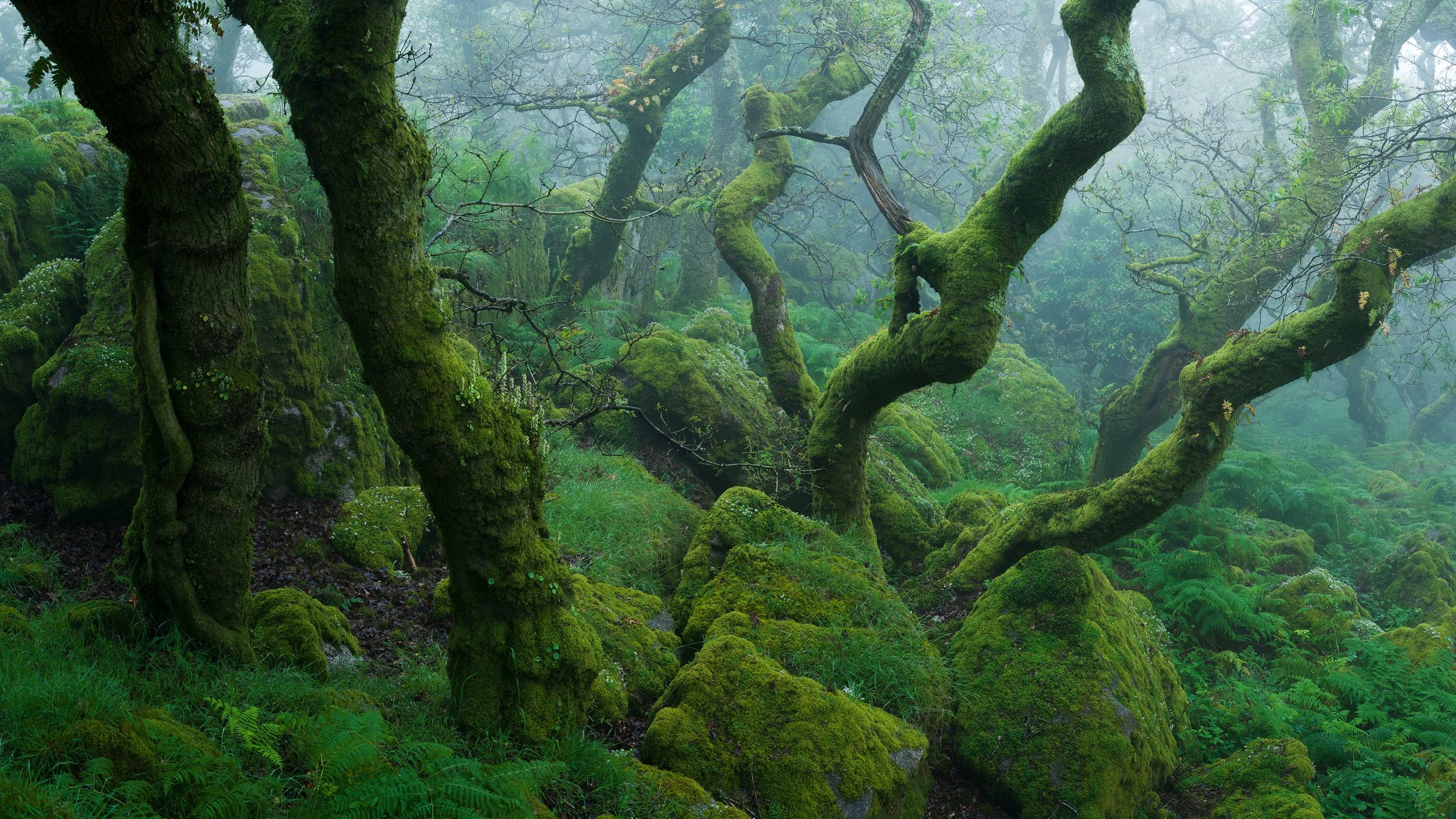 B0002043-Pano-Edit.jpg
