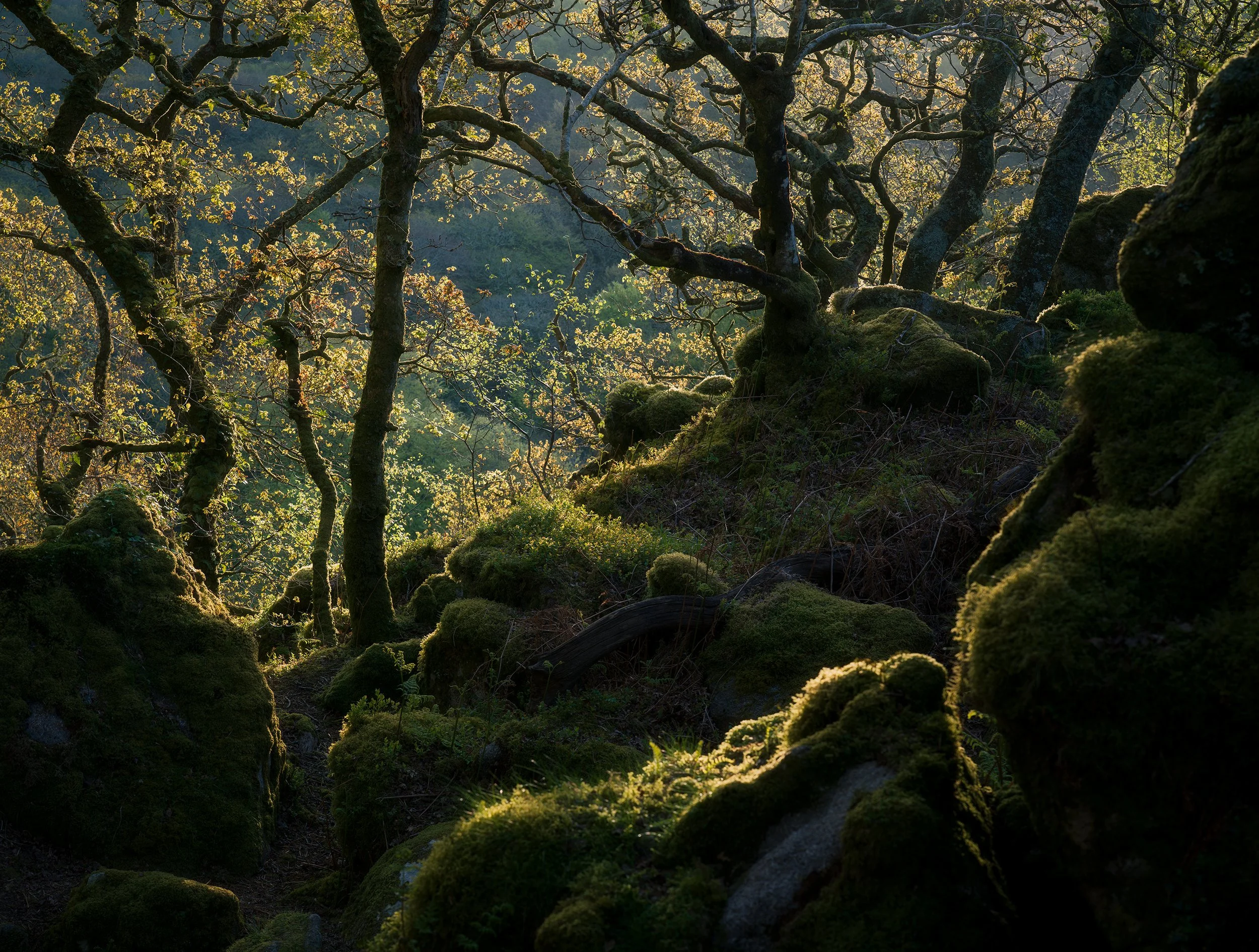 B0001587-Edit.jpg