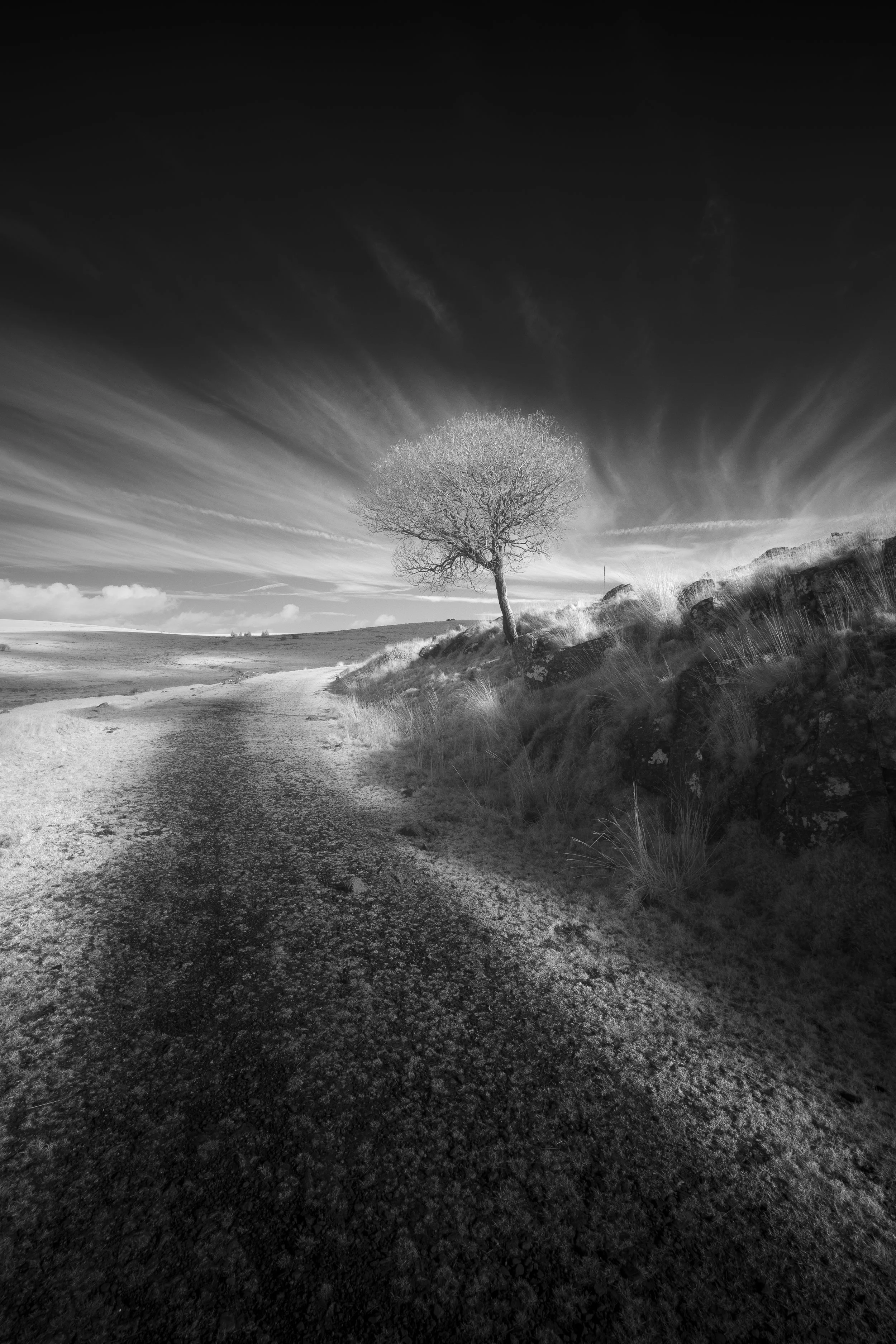 DSC_5292-Edit.jpg