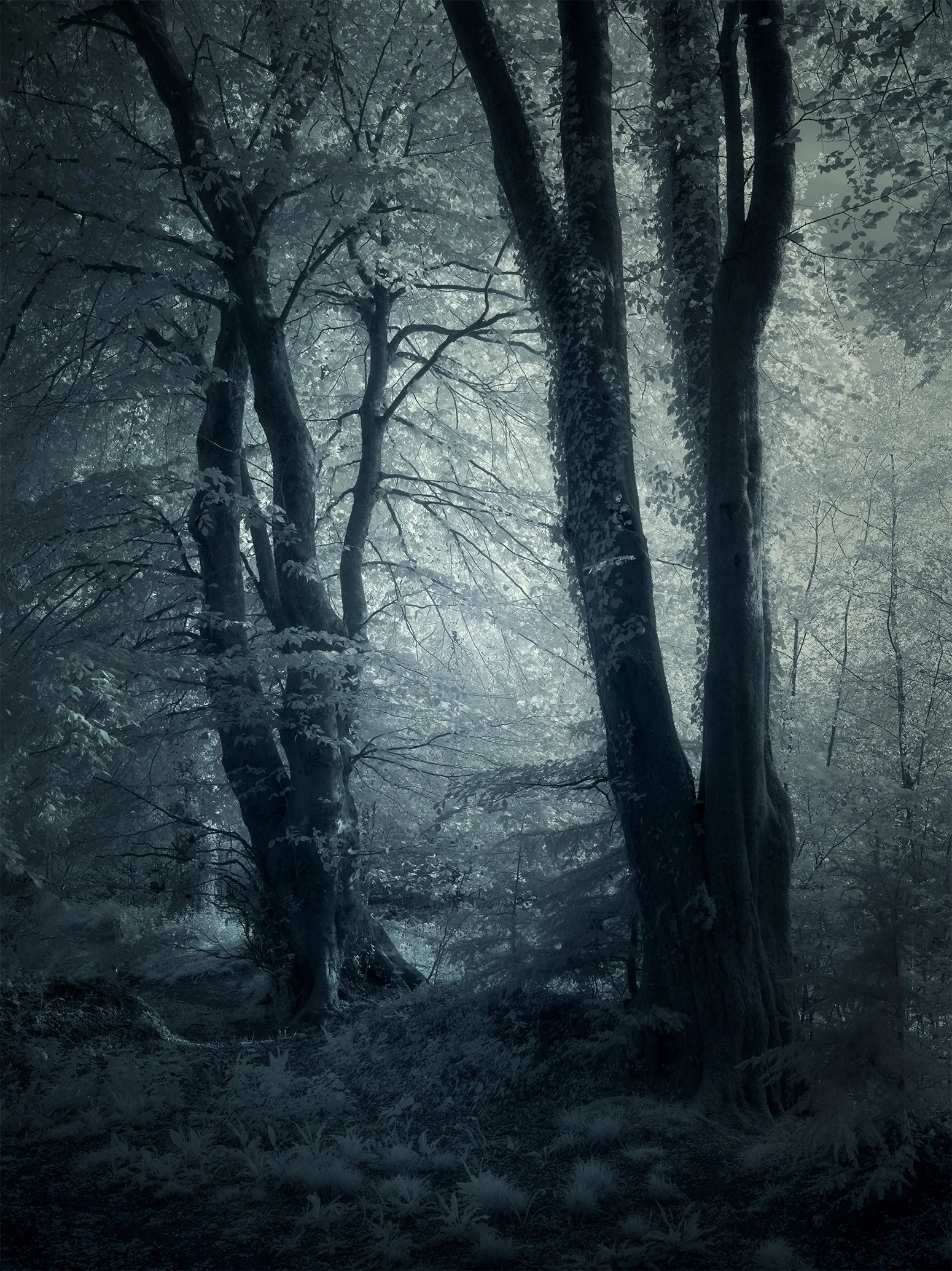 B0000339-Edit.jpg