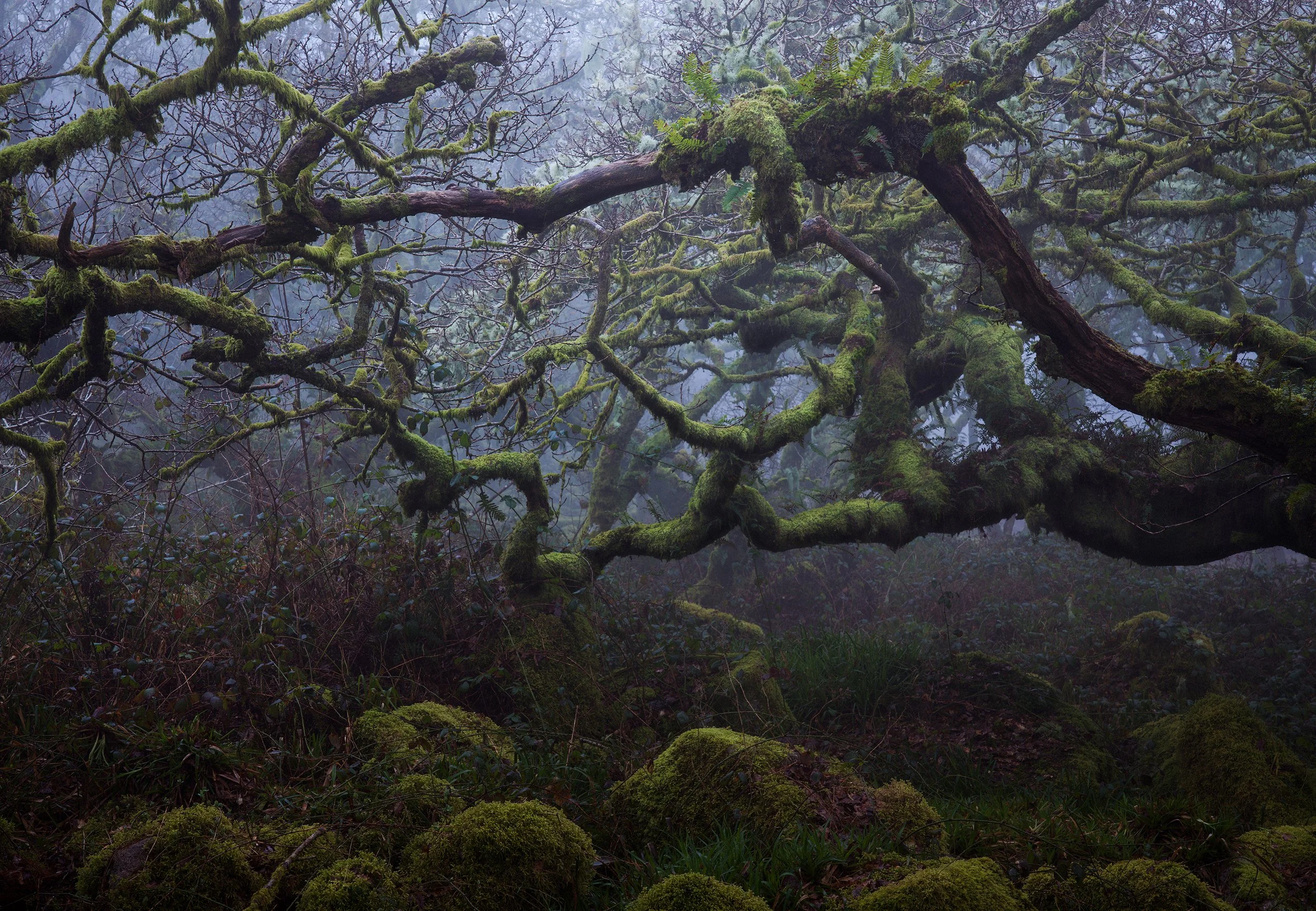 B0001062-Edit.jpg