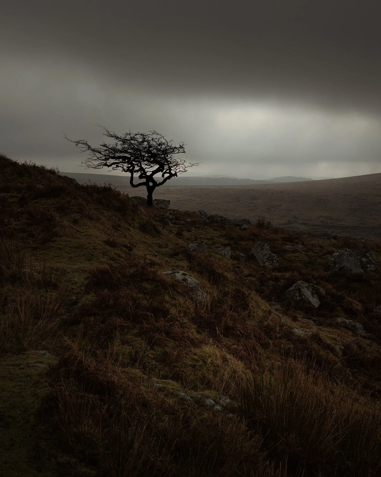 DSC_8706-Edit.jpg