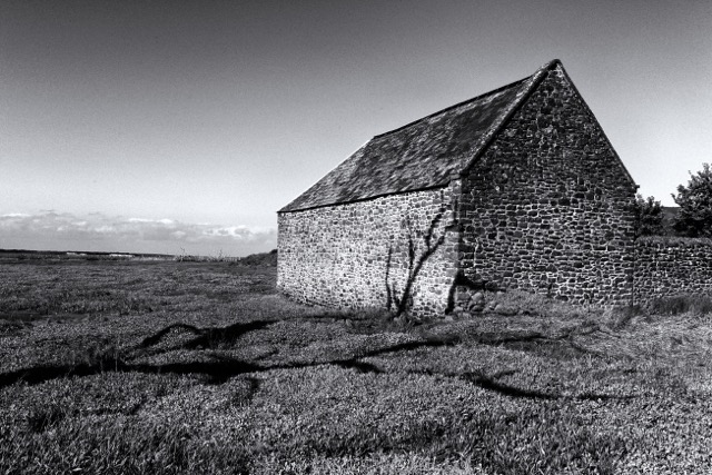 image2.jpg
