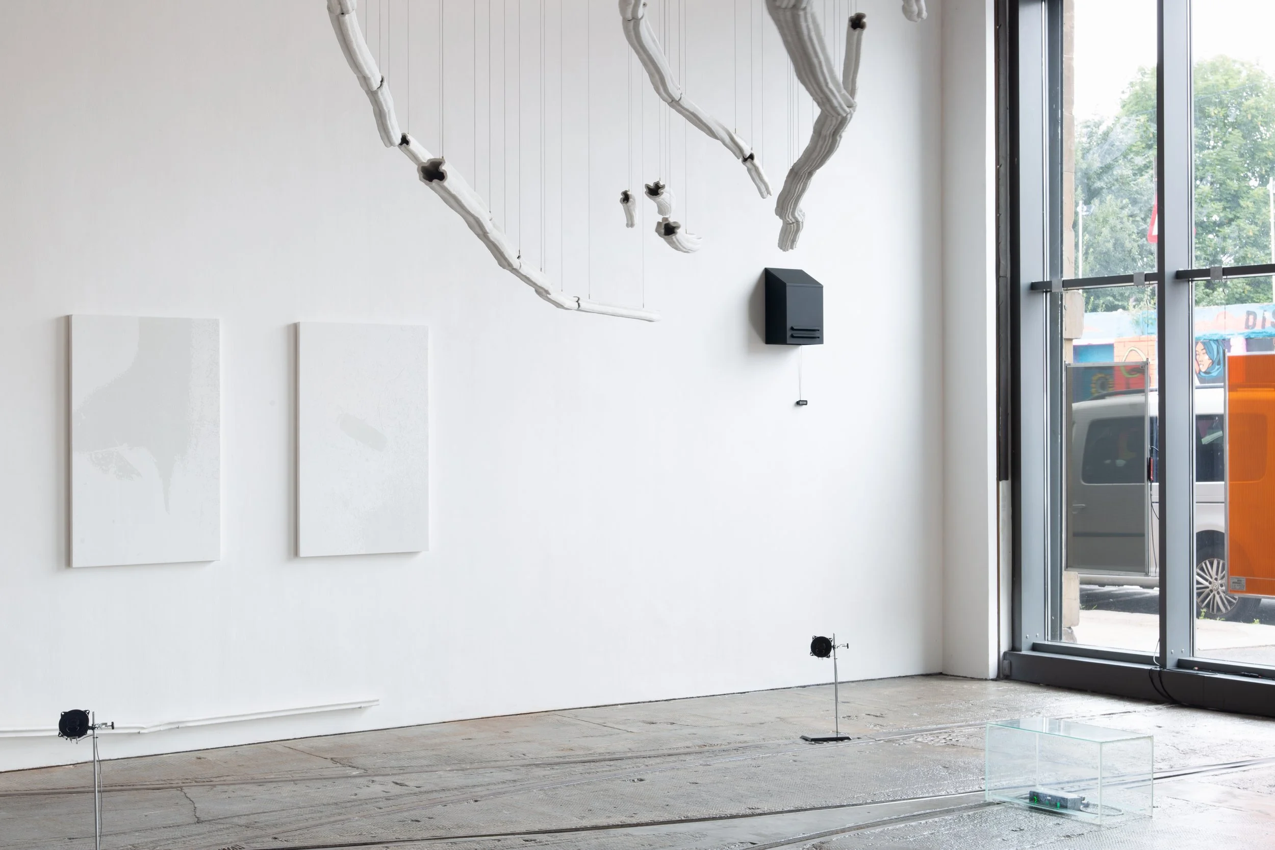 12_srose_TORPOR _tramway_2025_ install_daylightdrive_300.jpg