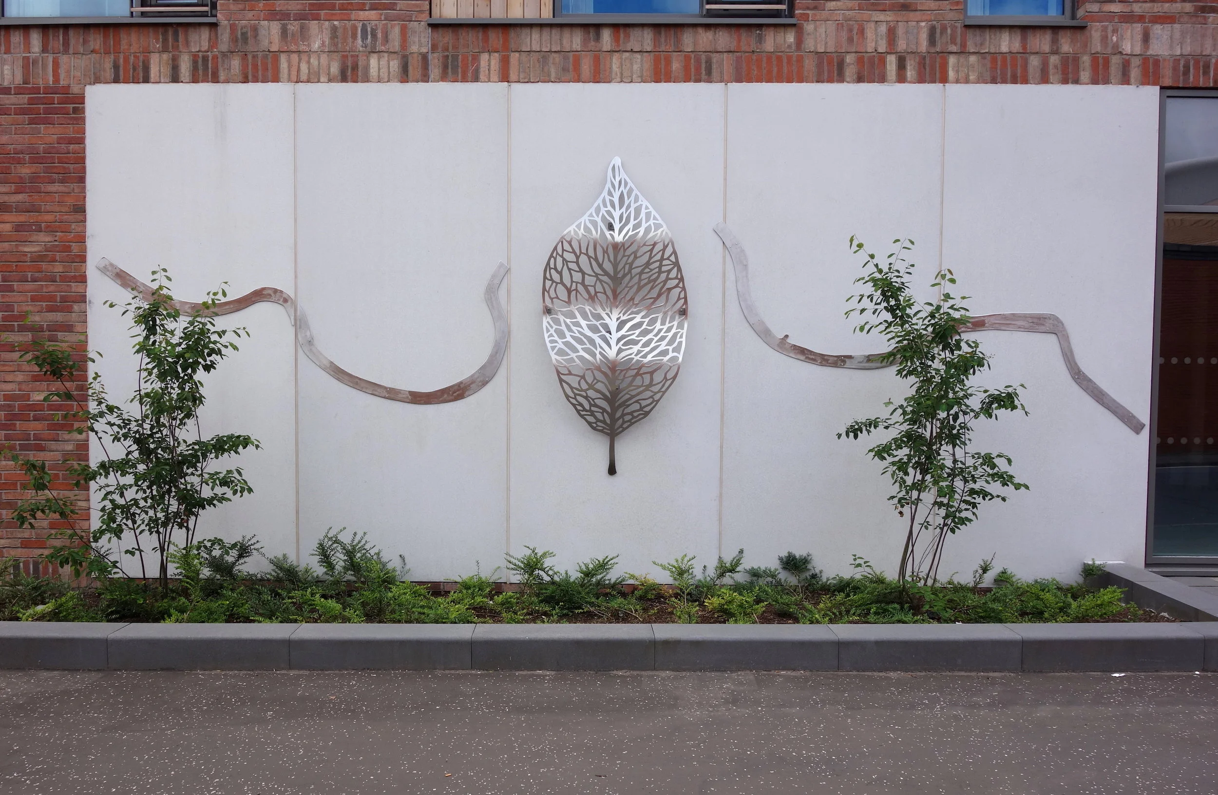 1.WoodsideH&CC_SS_LEAF_June 2019_DSC00991_36cm_200ppi.JPG