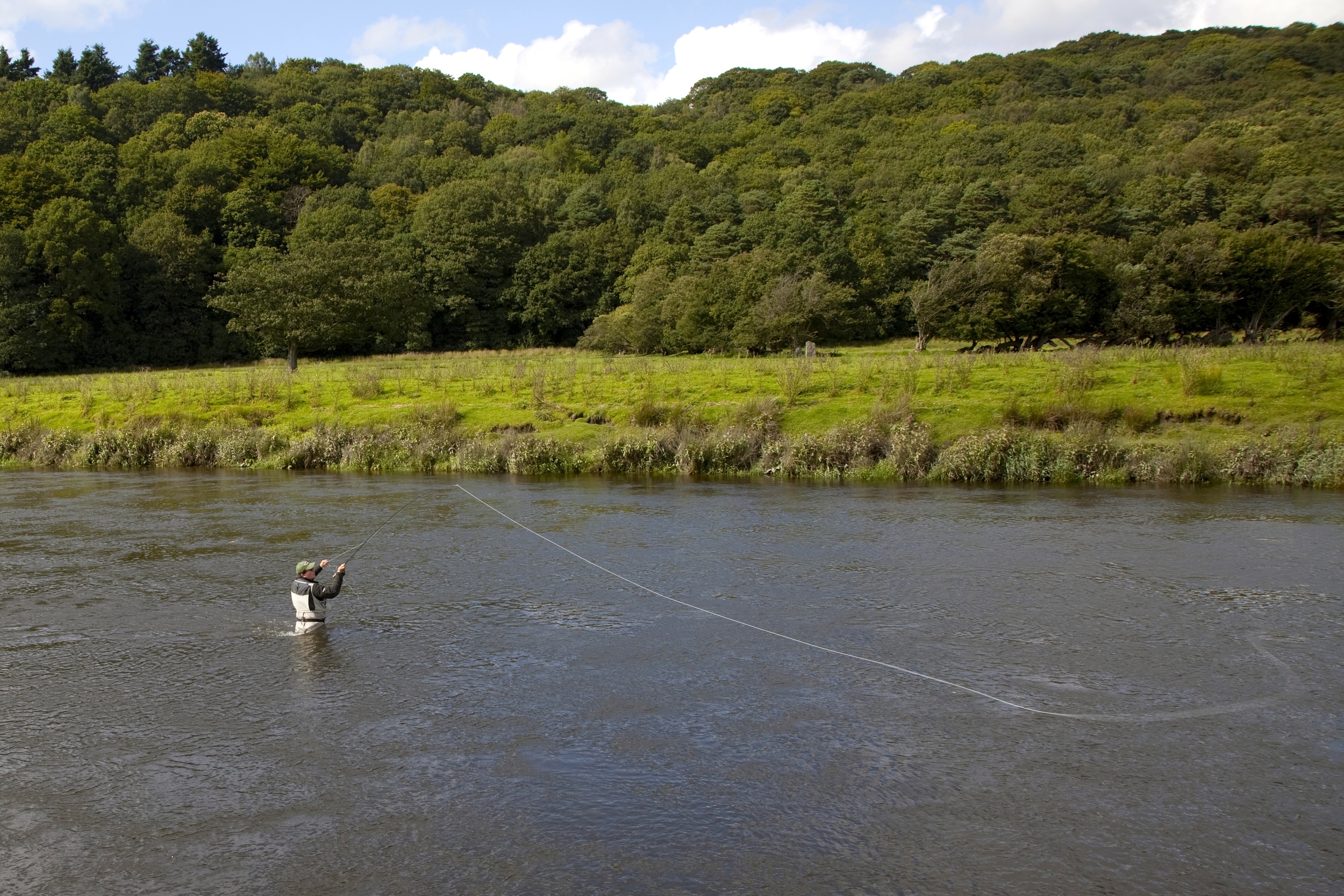 _MG_0338 - Version 2.jpg