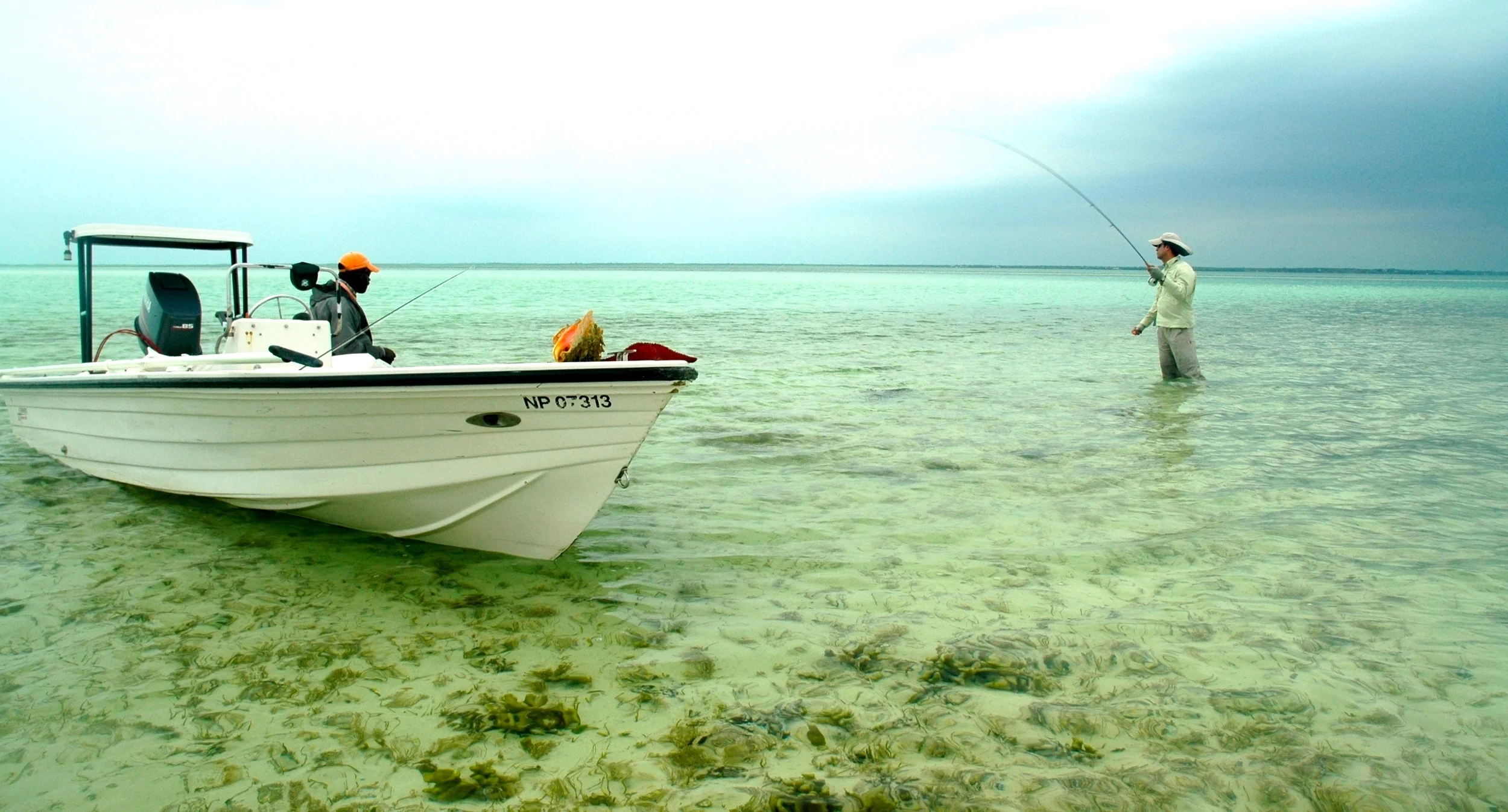 DSC_0399.JPG - Version 2.JPG