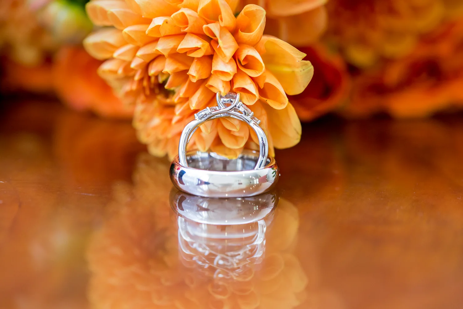 Stephanie&Christopher_Wedding-1.jpg