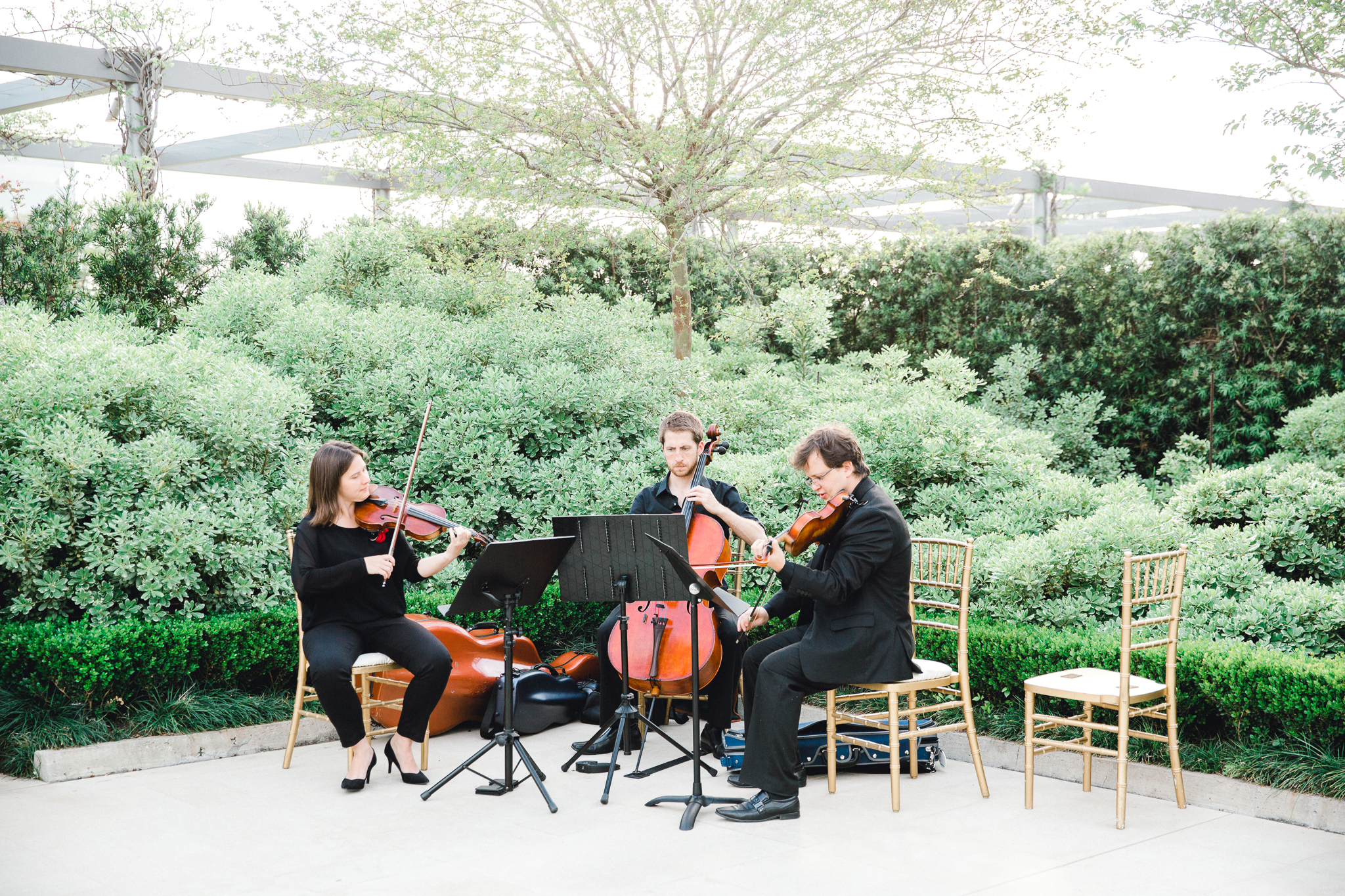 mcgovern centennial gardens wedding