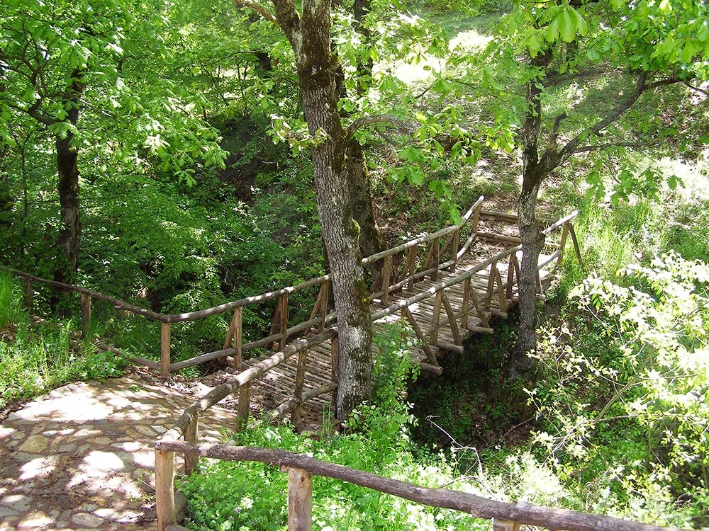 31364613.jpg