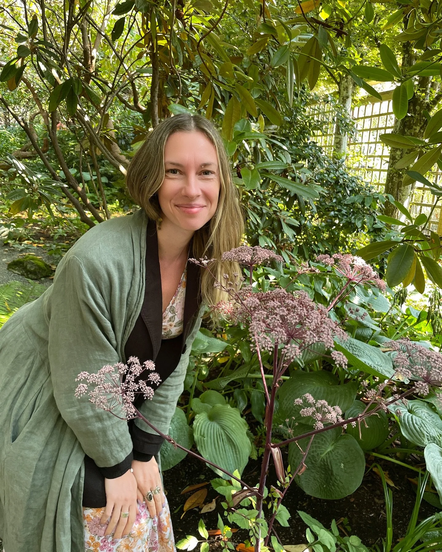 Pictured here is the wonderful wild angelica, or &lsquo;Angelica sylvestris&rsquo;. A cousin of &lsquo;Angelica archangelica&rsquo;, who is more widely used in western herbal medicine&hellip;and one of my absolute favourites ✨🌱💫

&hellip;LONG befor