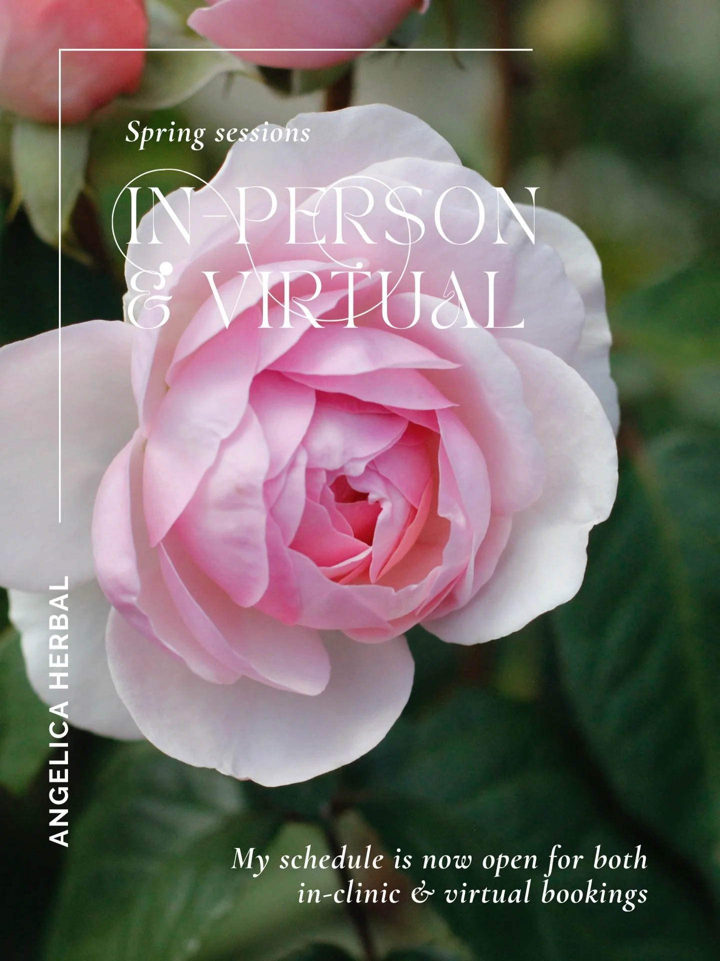 Announcing new in-person sessions for those located in Vernon or around the Okanagan 🌱 My practice at Angelica Herbal now offers both virtual and in-clinic sessions. Stepping into an in-person clinic space feels like opening a window to let spring i